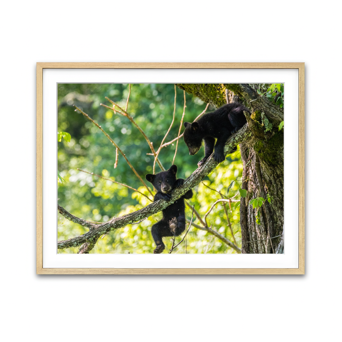 Framed Print 4x3 Natural