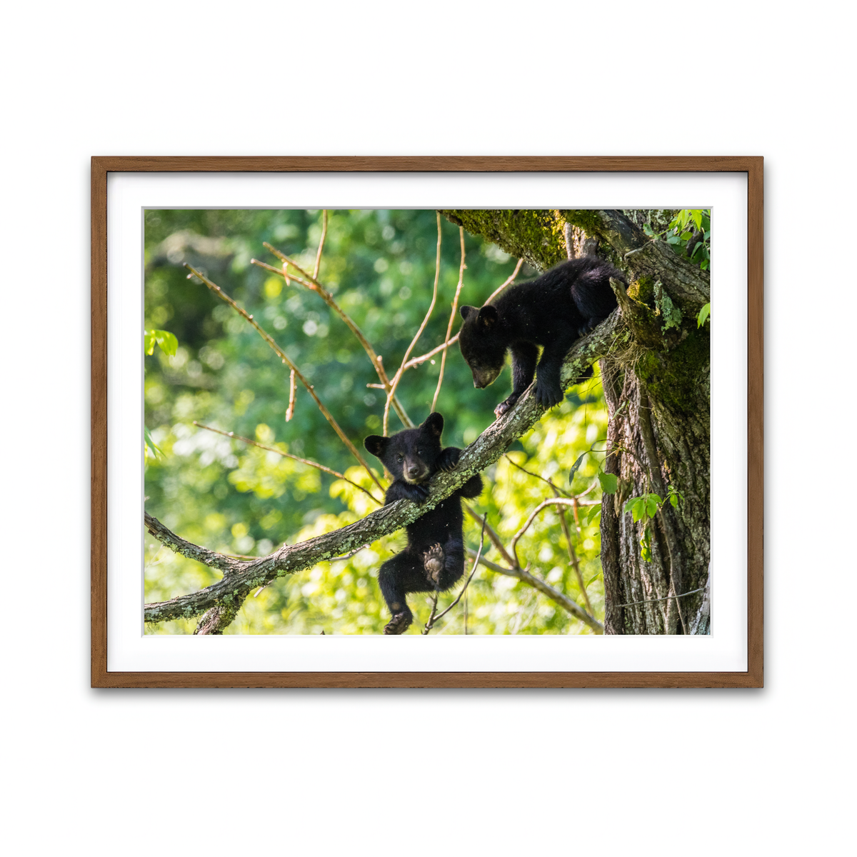 Framed Print 4x3 Walnut