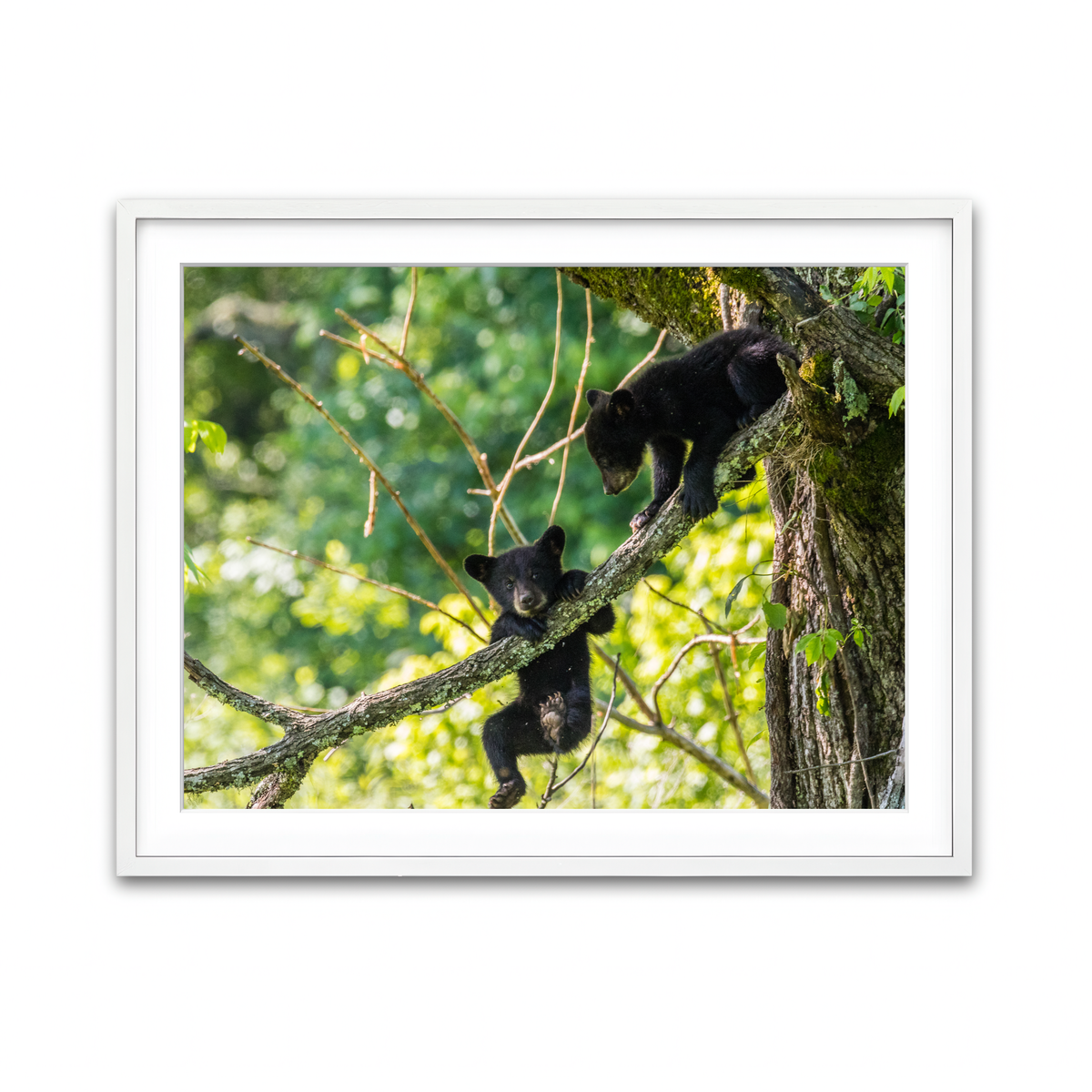 Framed Print 4x3 White