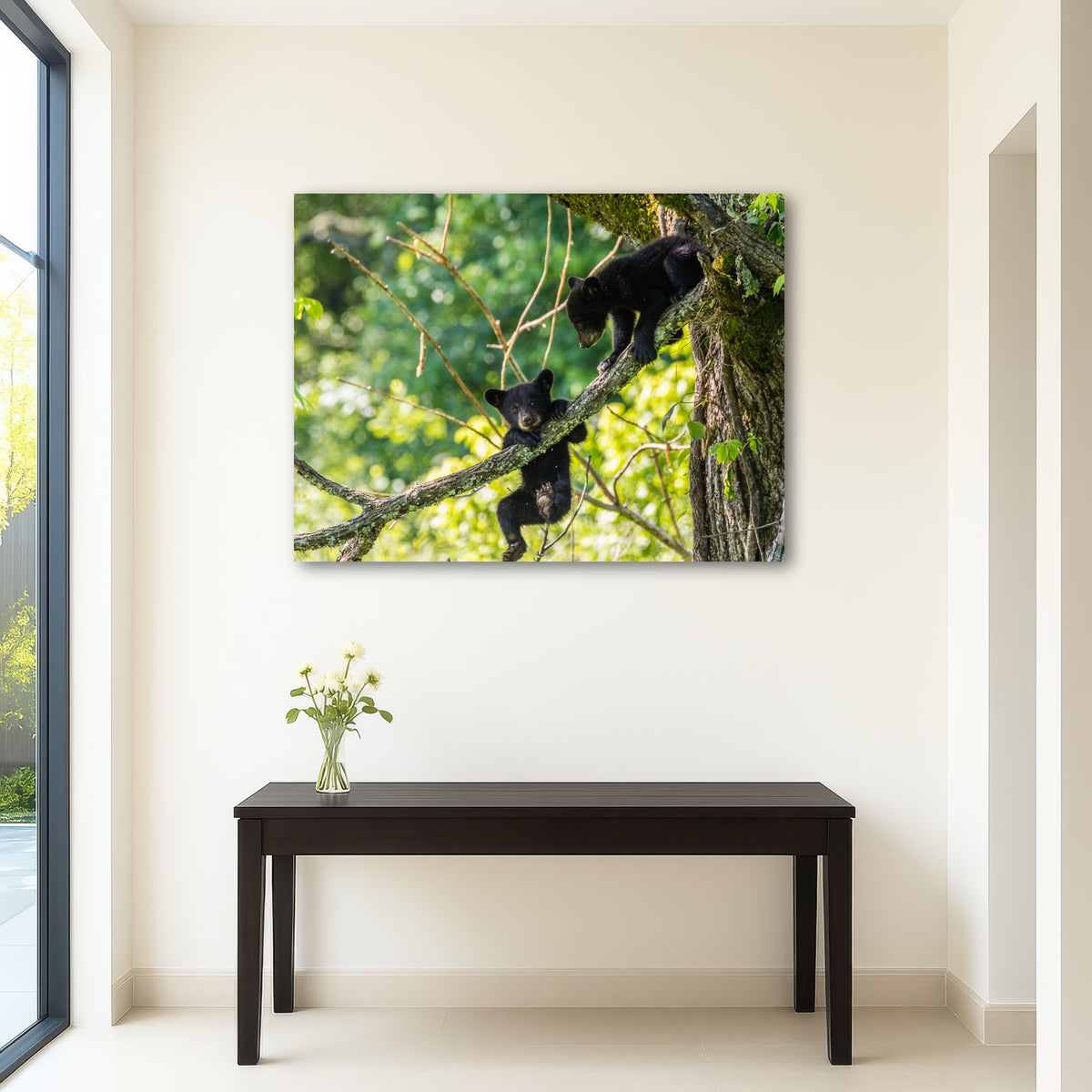 AUTO-MOCKUP ROOM | Black Bear Cubs Playing