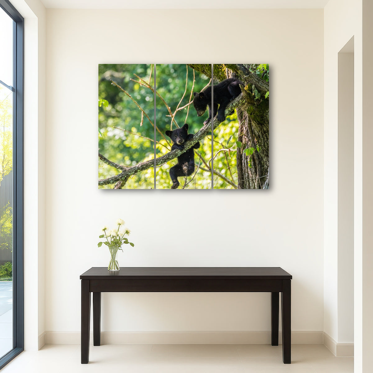 AUTO-MOCKUP ROOM | Black Bear Cubs Playing