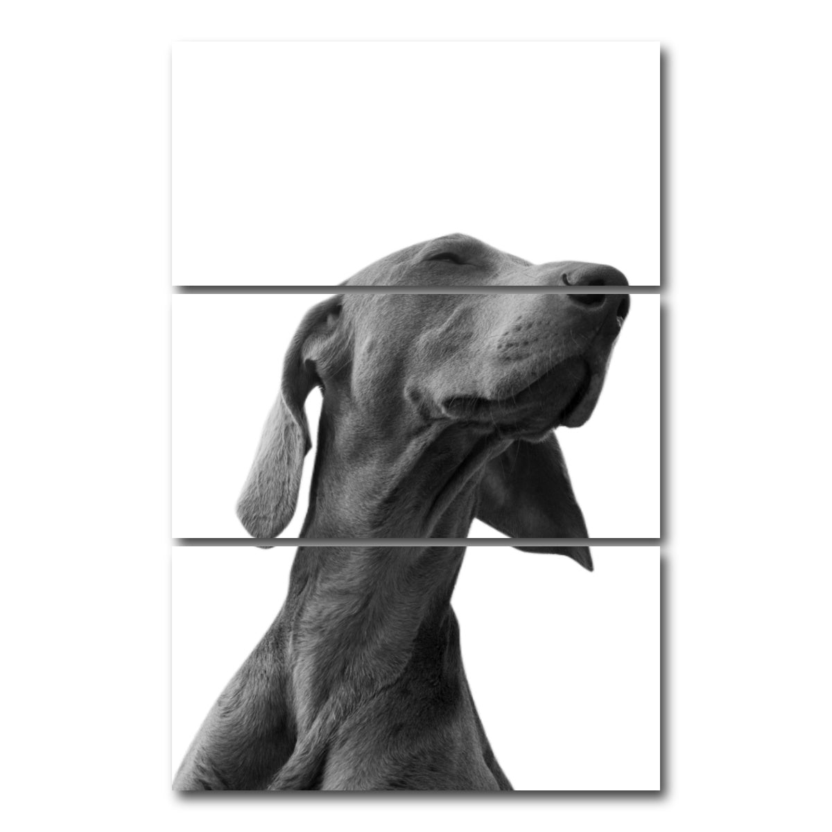 AUTO-MOCKUP WHITE | Black Dog | 3 Piece | Gallery Wrap Canvas | group=12x24_stacked