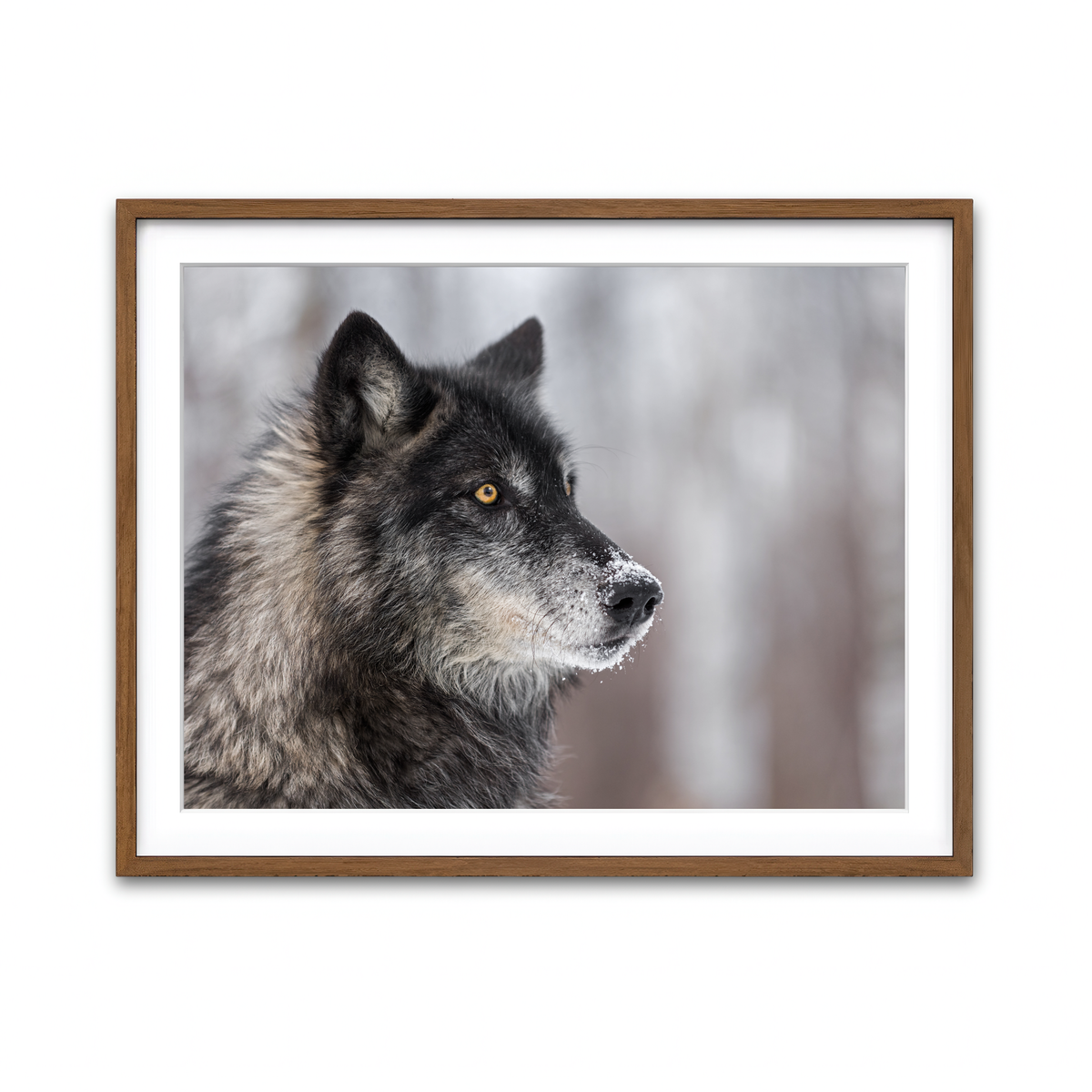 Framed Print 4x3 Walnut