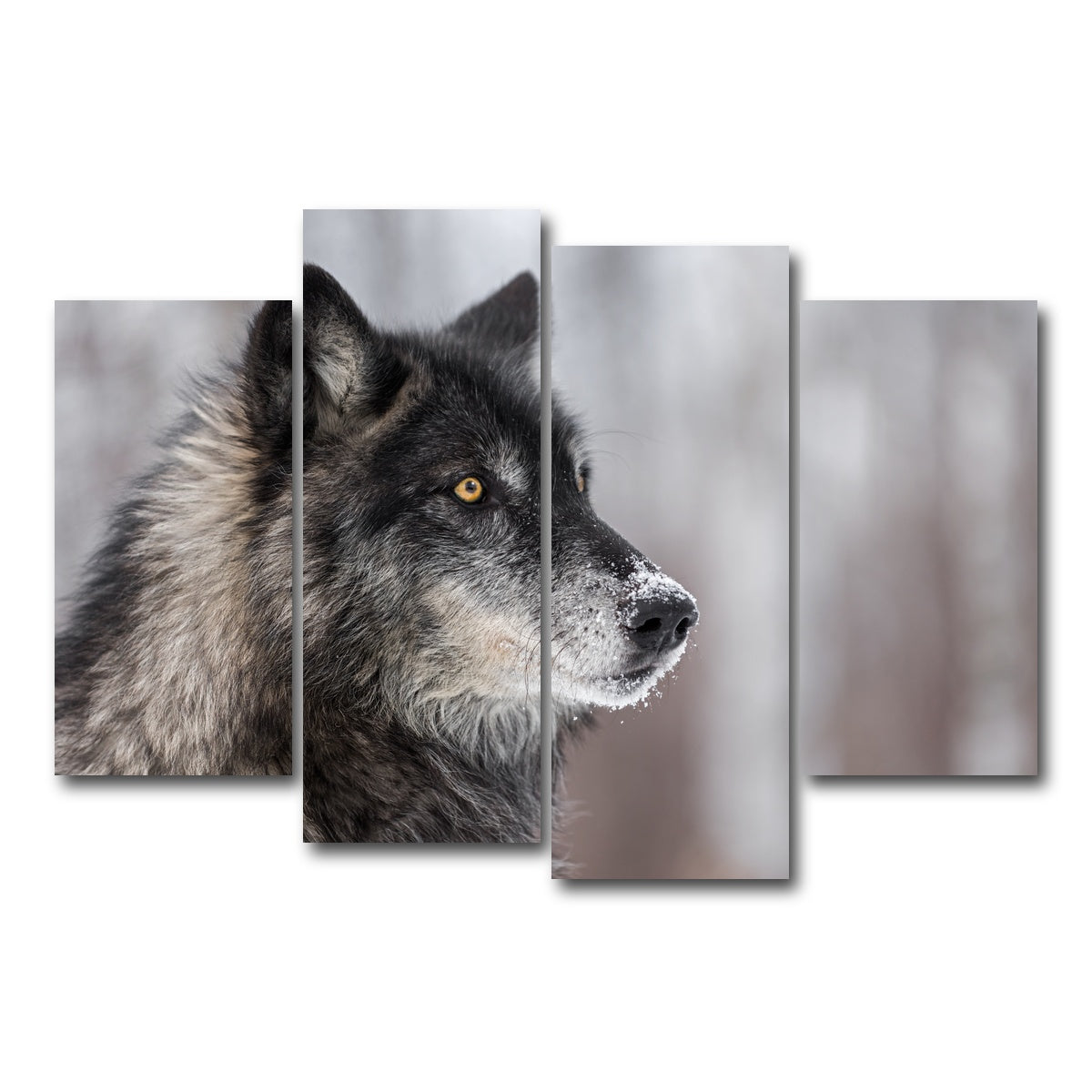 AUTO-MOCKUP WHITE | Black Grey Wolf | 4 Piece | Gallery Wrap Canvas | group=4_short
