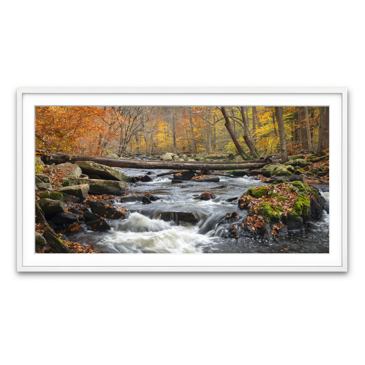 Framed Print 2x1 White