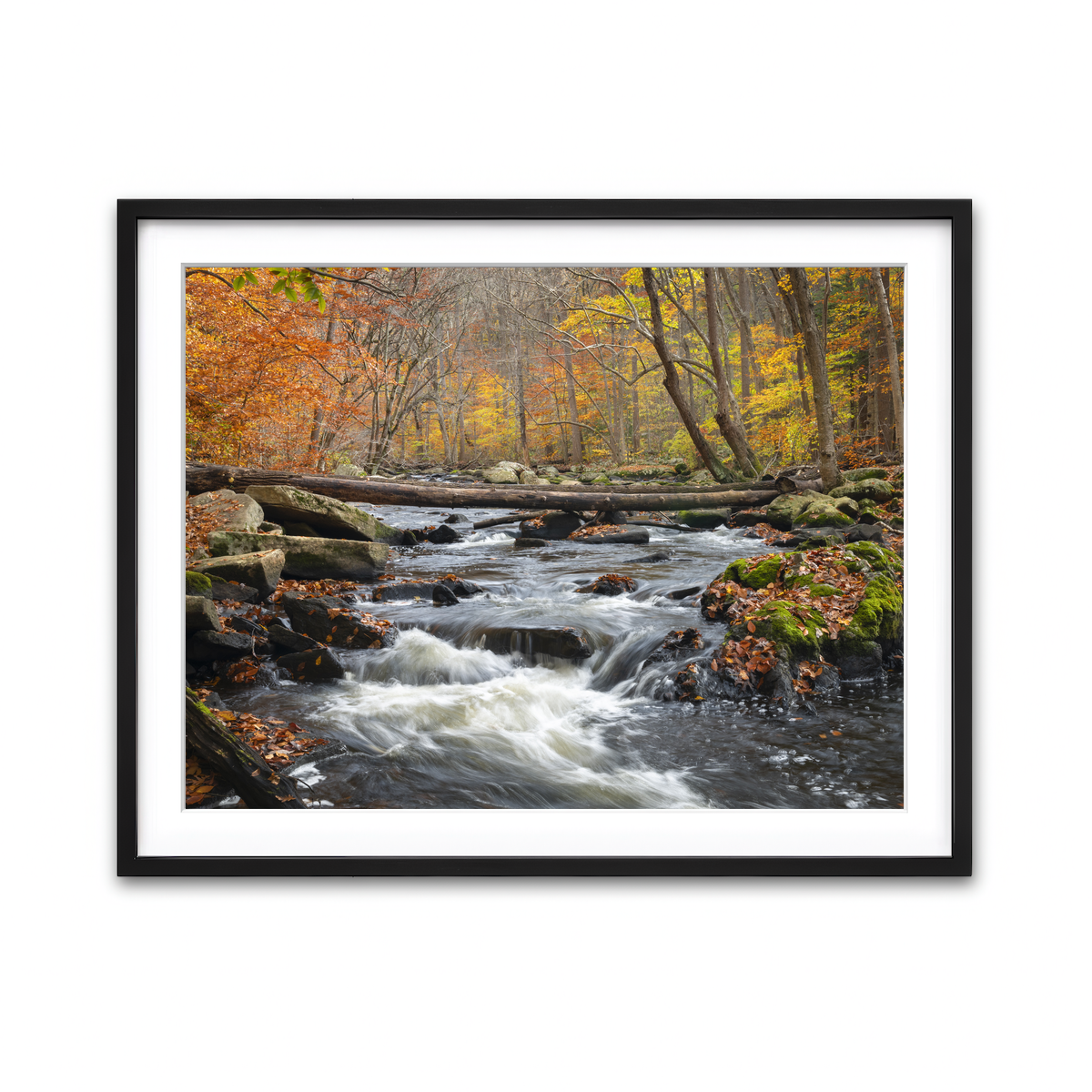 Framed Print 4x3 Black