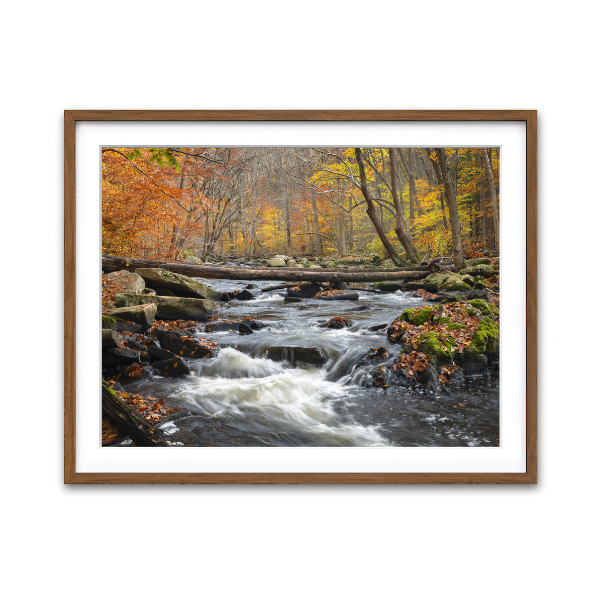 Framed Print 4x3 Walnut