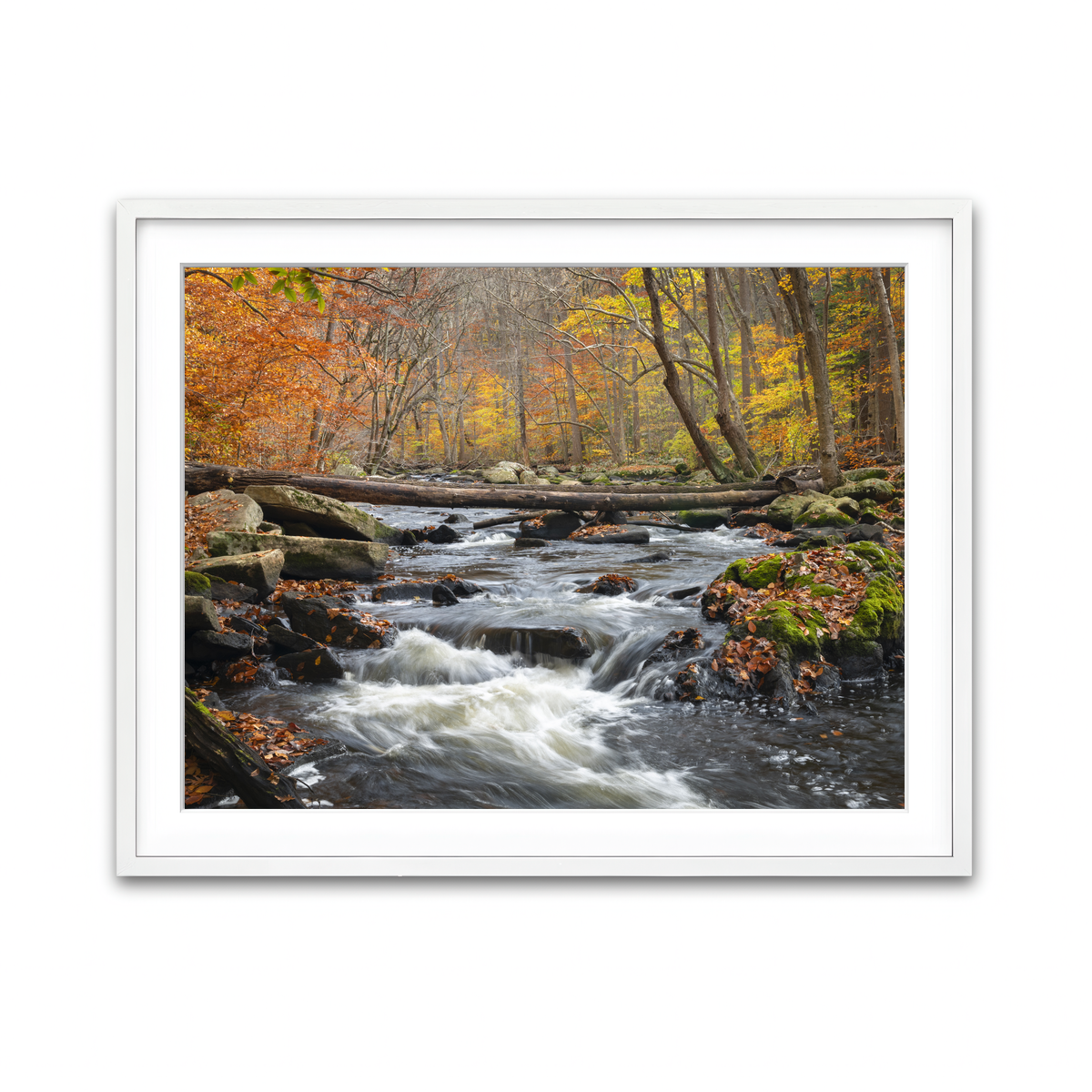 Framed Print 4x3 White