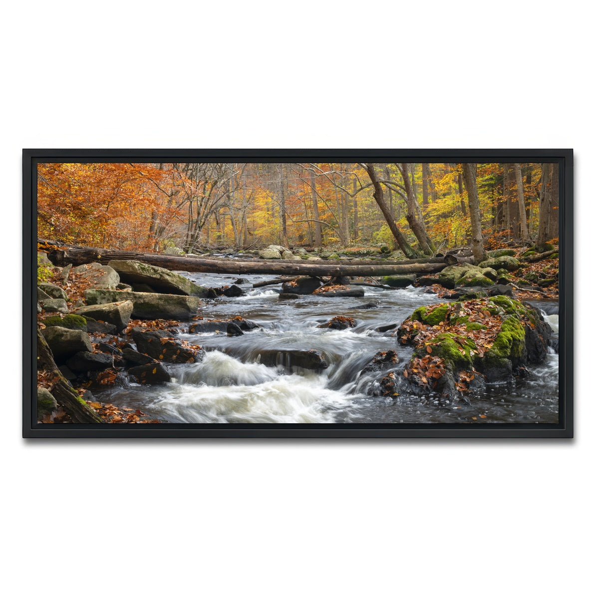 AUTO-MOCKUP WHITE | Black River Catskills NY | 1 Piece | Black Framed Canvas | group=2x1