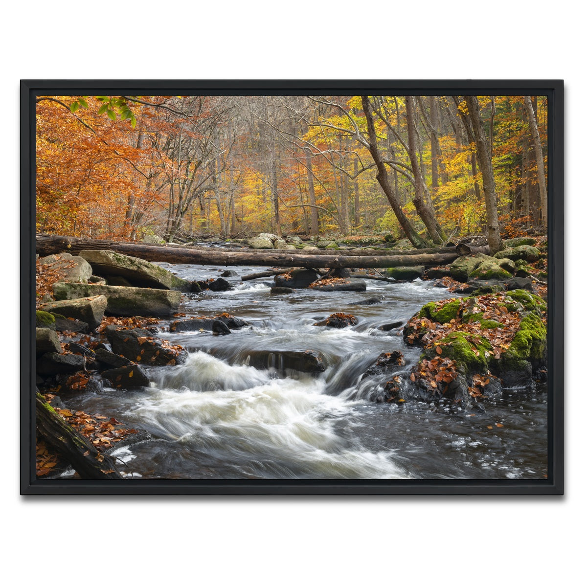 AUTO-MOCKUP WHITE | Black River Catskills NY | 1 Piece | Black Framed Canvas | group=4x3