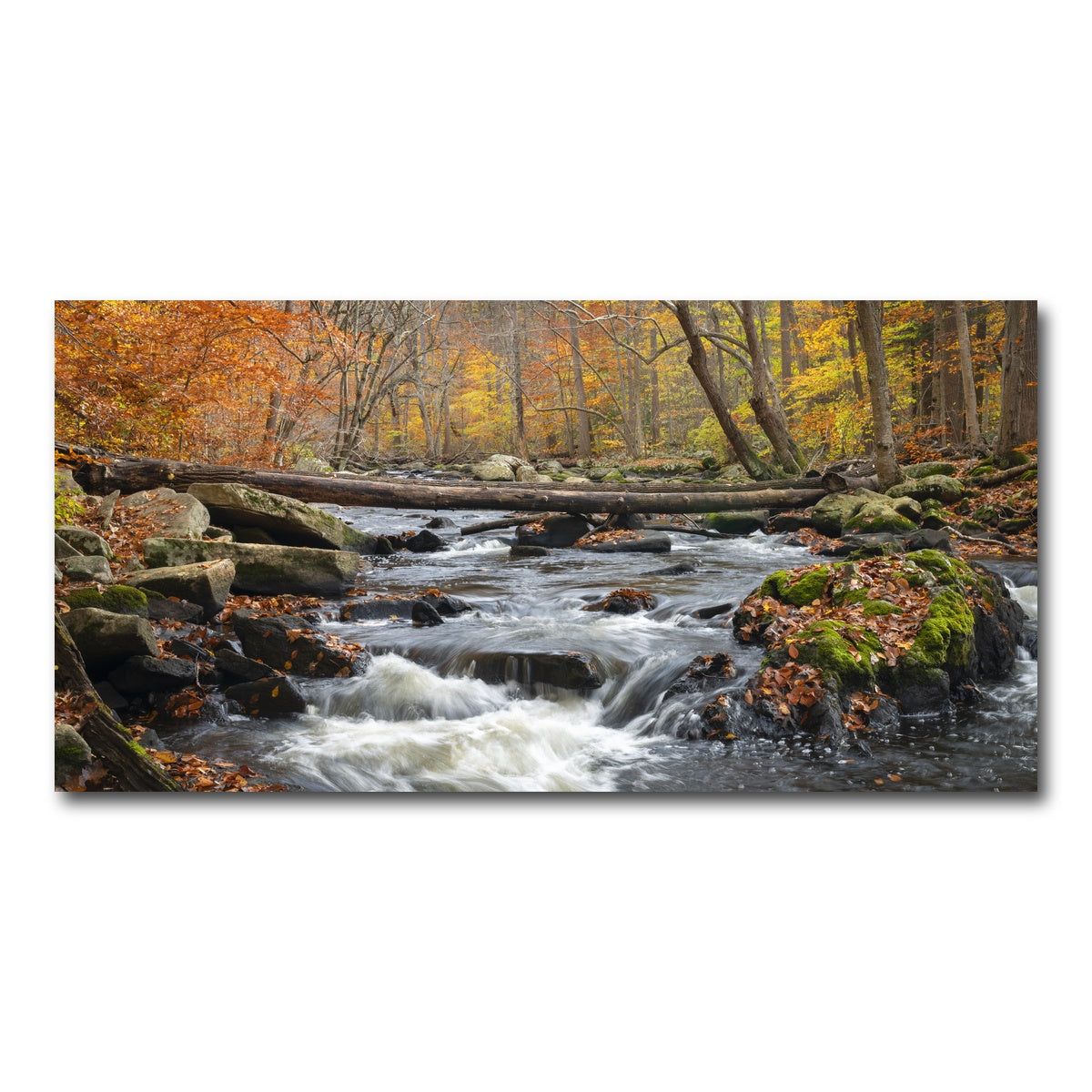 AUTO-MOCKUP WHITE | Black River Catskills NY | 1 Piece | Gallery Wrap Canvas | group=2x1