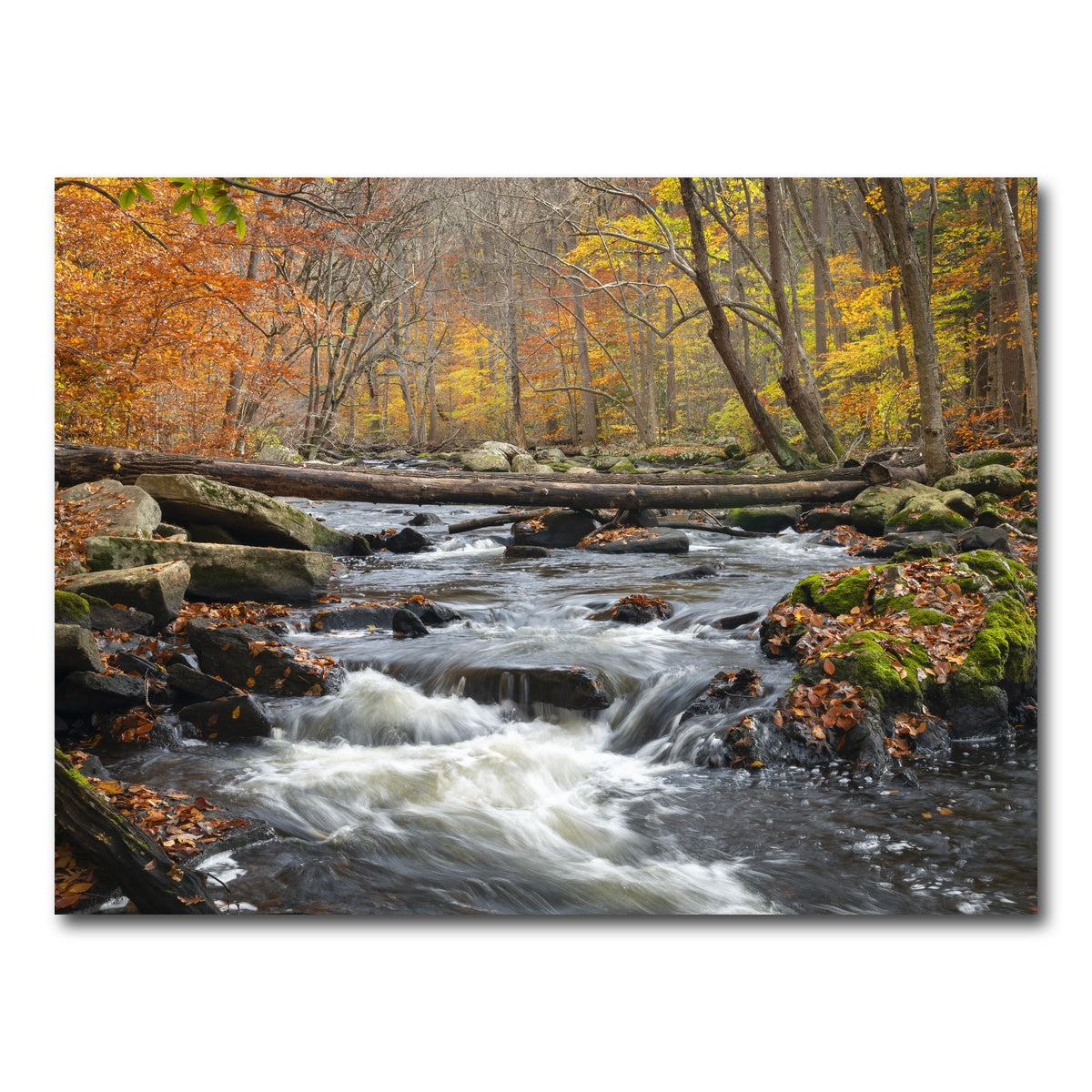 AUTO-MOCKUP WHITE | Black River Catskills NY | 1 Piece | Gallery Wrap Canvas | group=4x3
