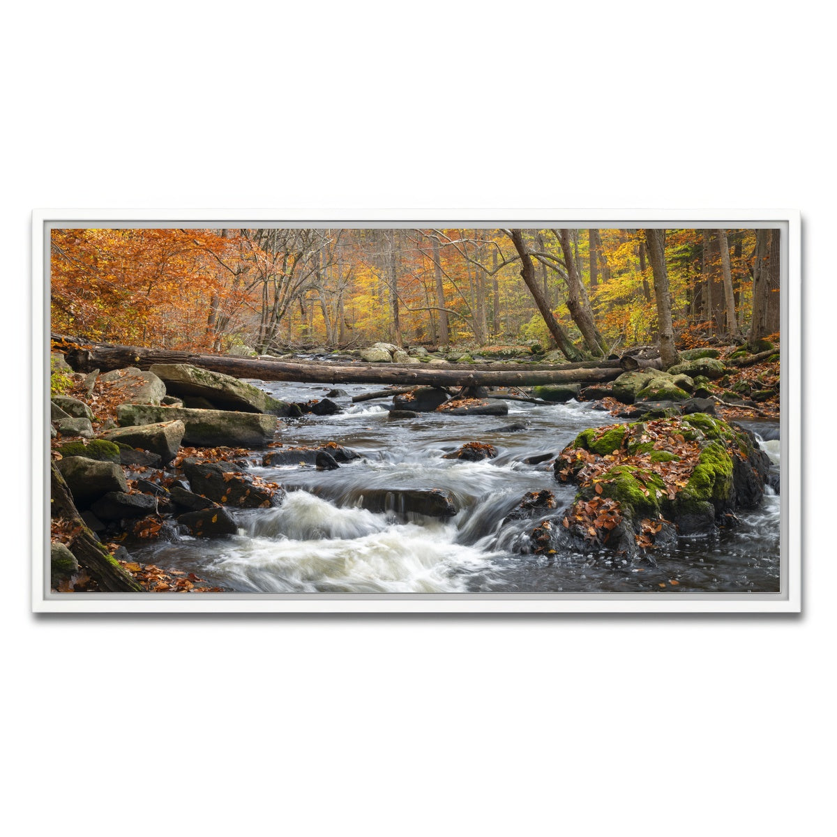AUTO-MOCKUP WHITE | Black River Catskills NY | 1 Piece | White Framed Canvas | group=2x1