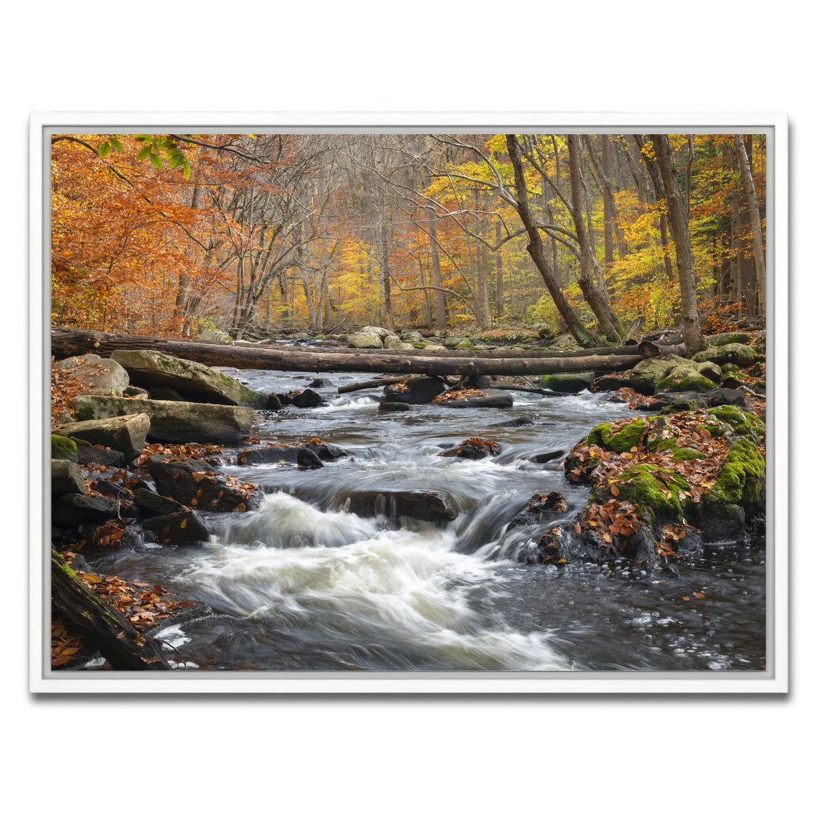 AUTO-MOCKUP WHITE | Black River Catskills NY | 1 Piece | White Framed Canvas | group=4x3