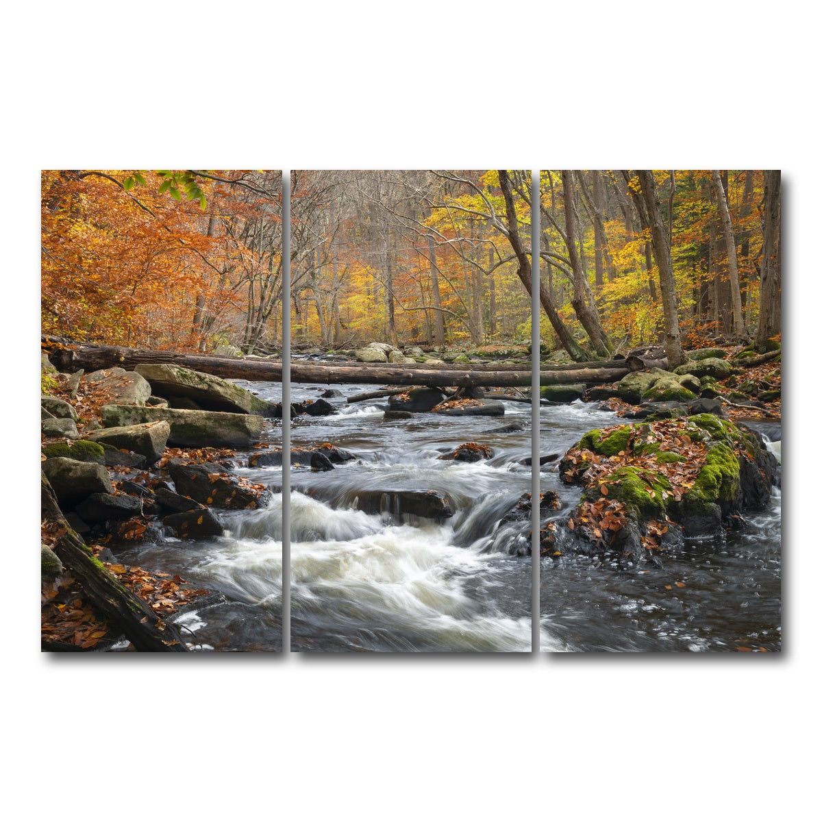 AUTO-MOCKUP WHITE | Black River Catskills NY | 3 Piece | Gallery Wrap Canvas | group=12x24