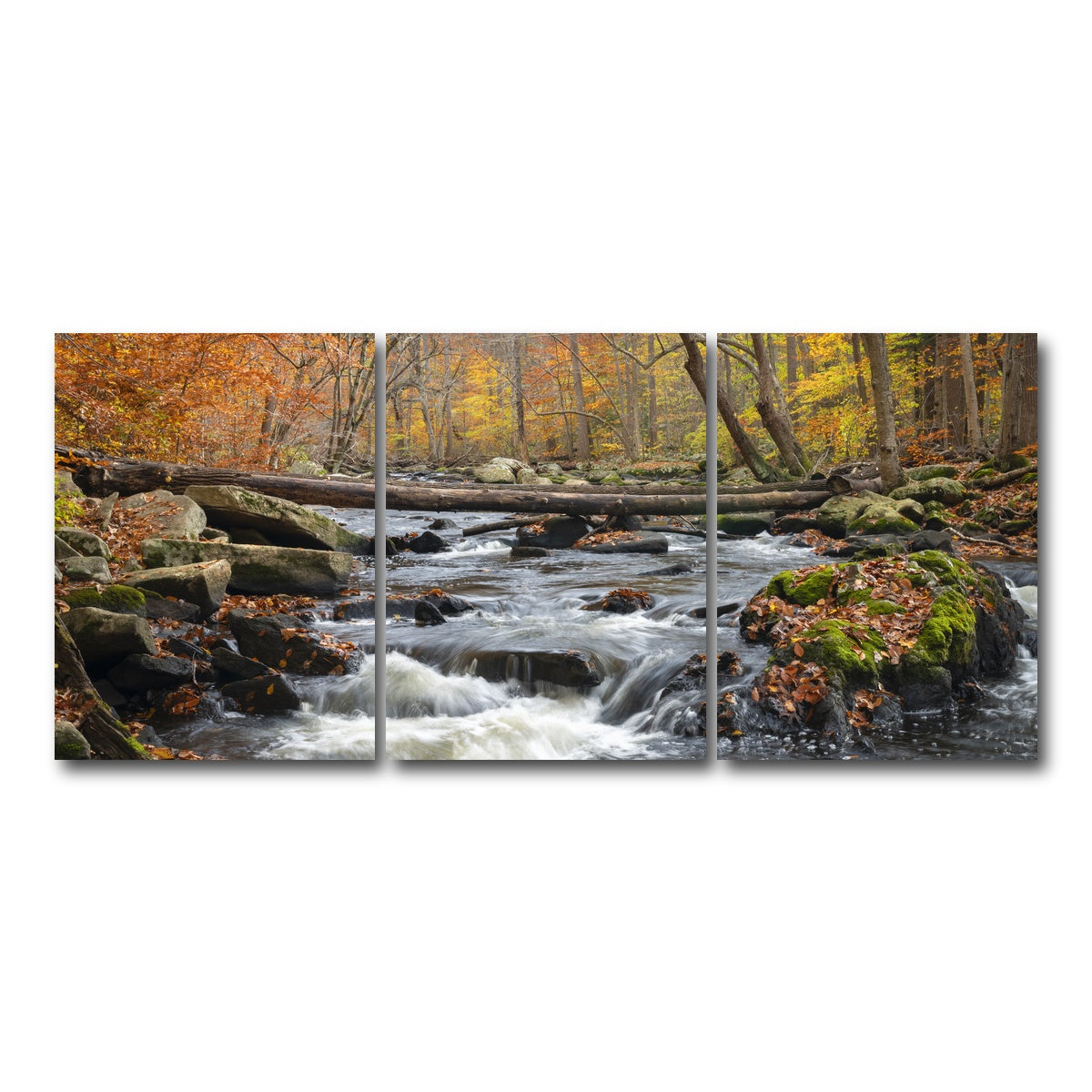 AUTO-MOCKUP WHITE | Black River Catskills NY | 3 Piece | Gallery Wrap Canvas | group=18x24