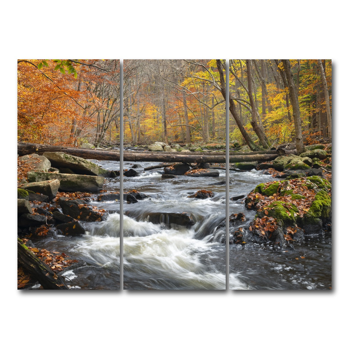 AUTO-MOCKUP WHITE | Black River Catskills NY | 3 Piece | Gallery Wrap Canvas | group=8x18