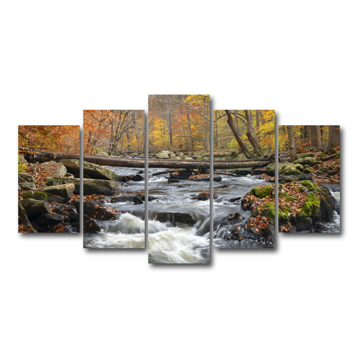 AUTO-MOCKUP WHITE | Black River Catskills NY | 5 Piece | Gallery Wrap Canvas | group=5_normal