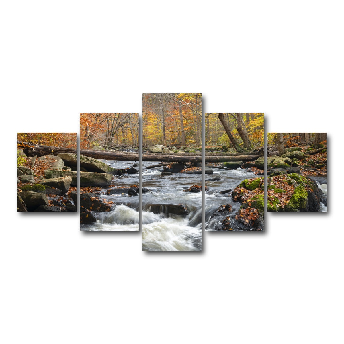 AUTO-MOCKUP WHITE | Black River Catskills NY | 5 Piece | Gallery Wrap Canvas | group=5_short