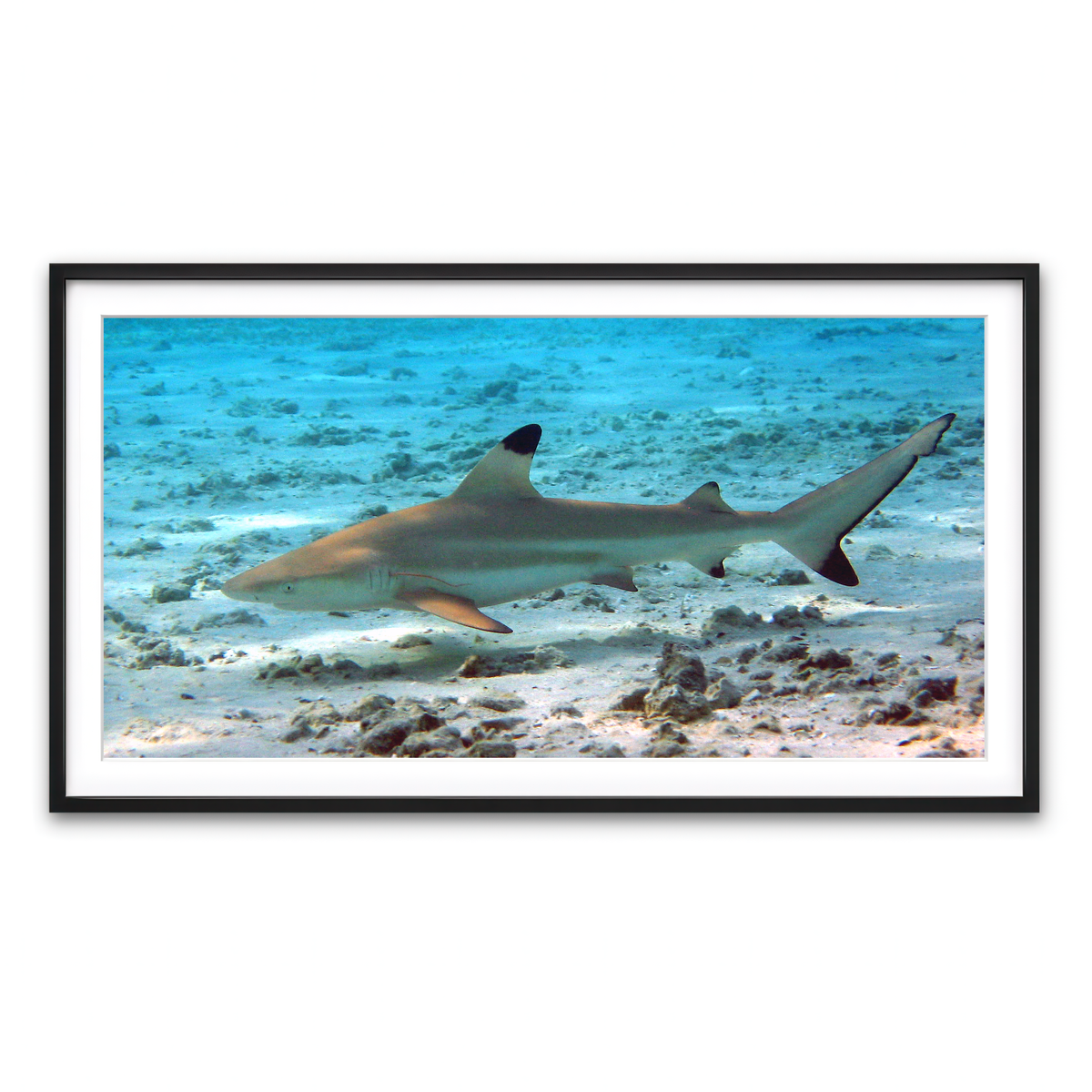 Framed Print 2x1 Black