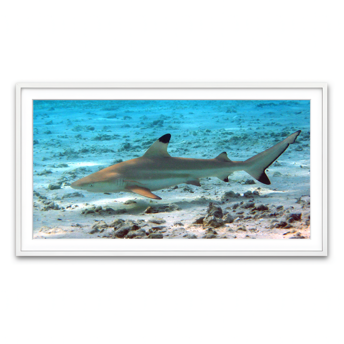 Framed Print 2x1 White