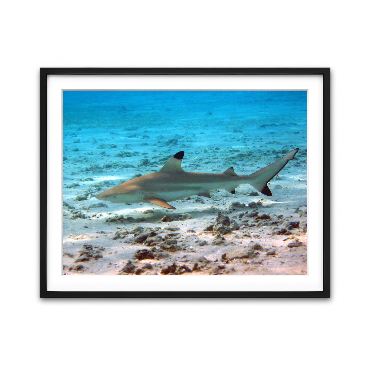 Framed Print 4x3 Black