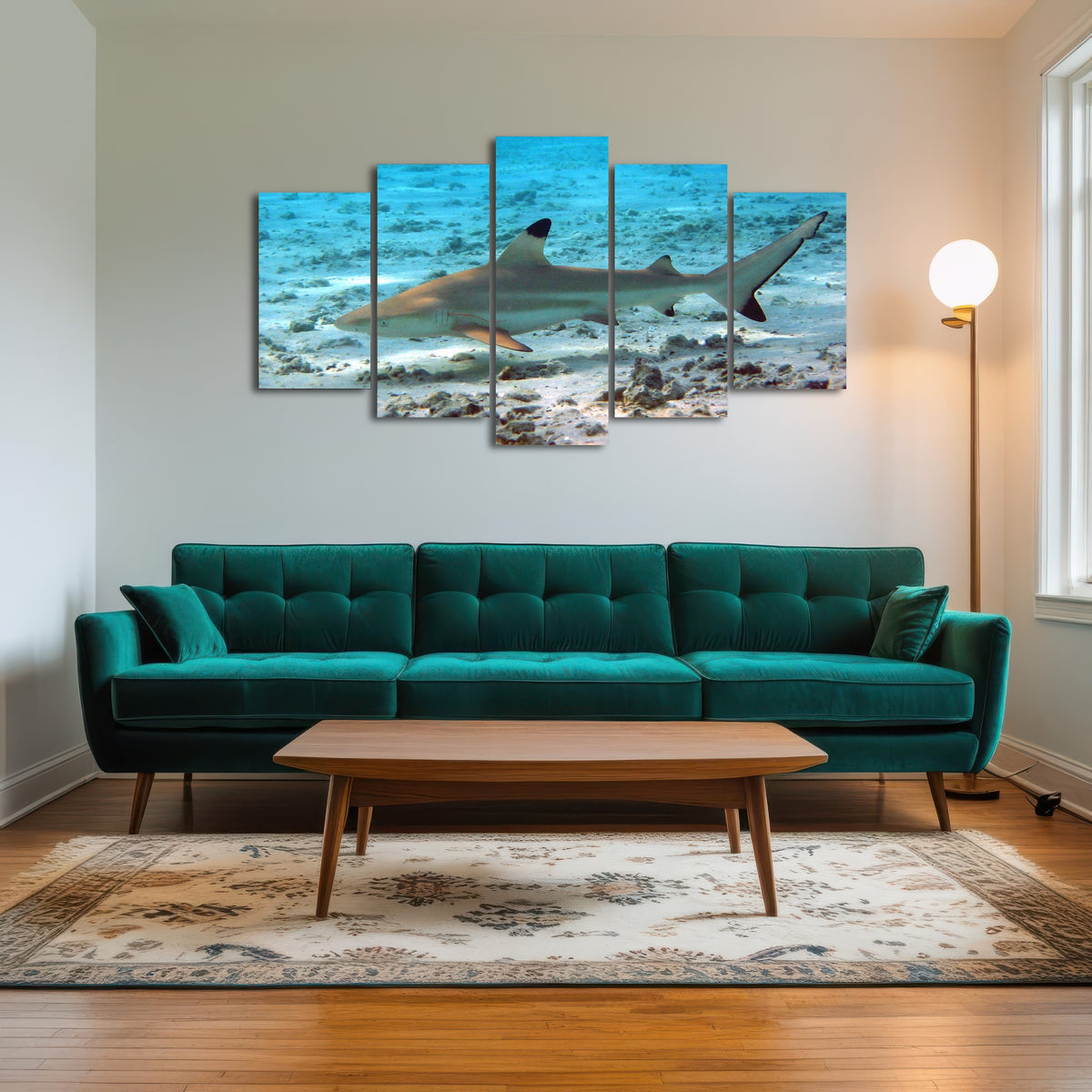 AUTO-MOCKUP ROOM | Black Tip Reef Shark