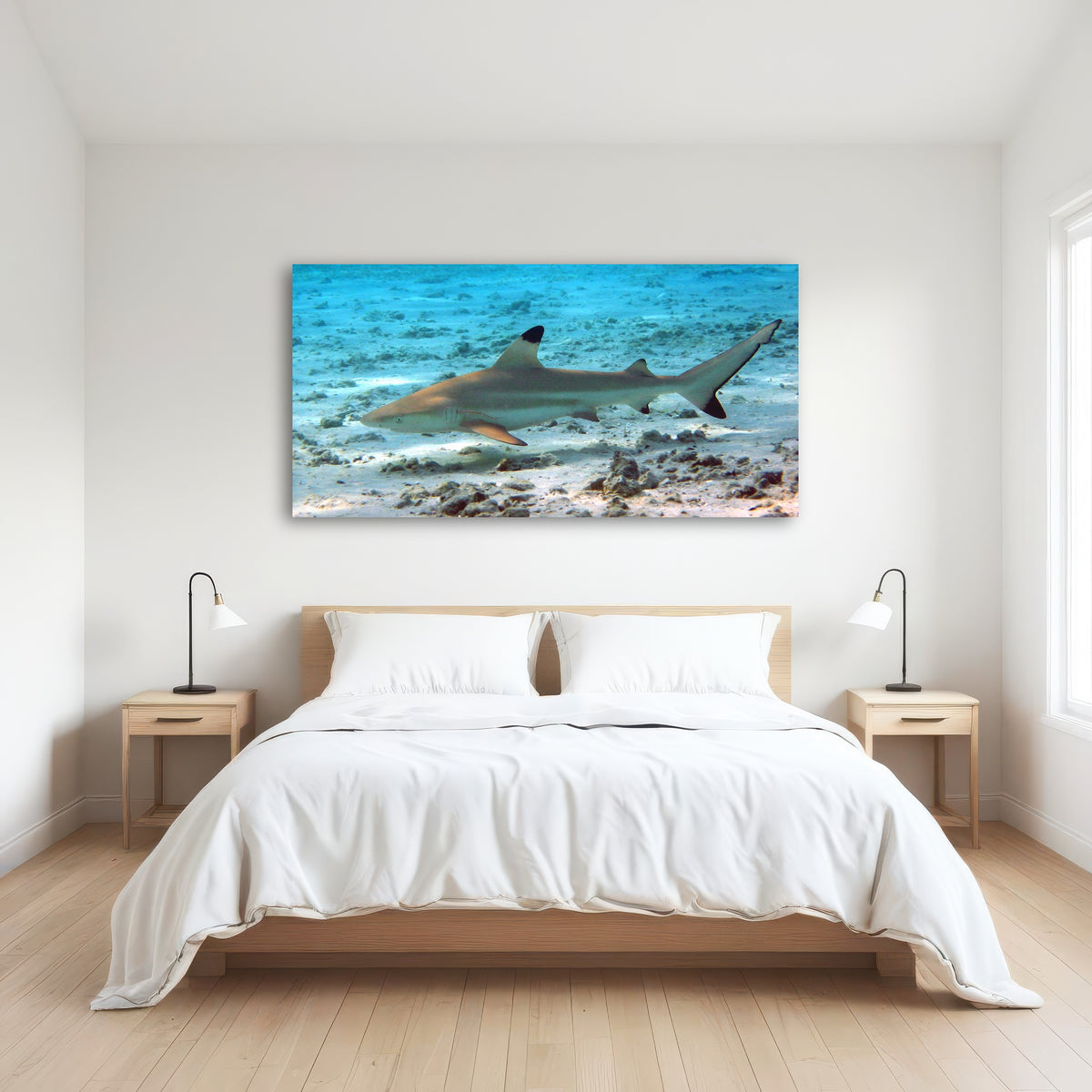 AUTO-MOCKUP ROOM | Black Tip Reef Shark