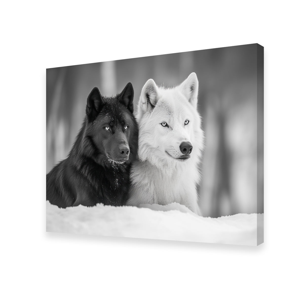 Black & White Wolves Wall Art