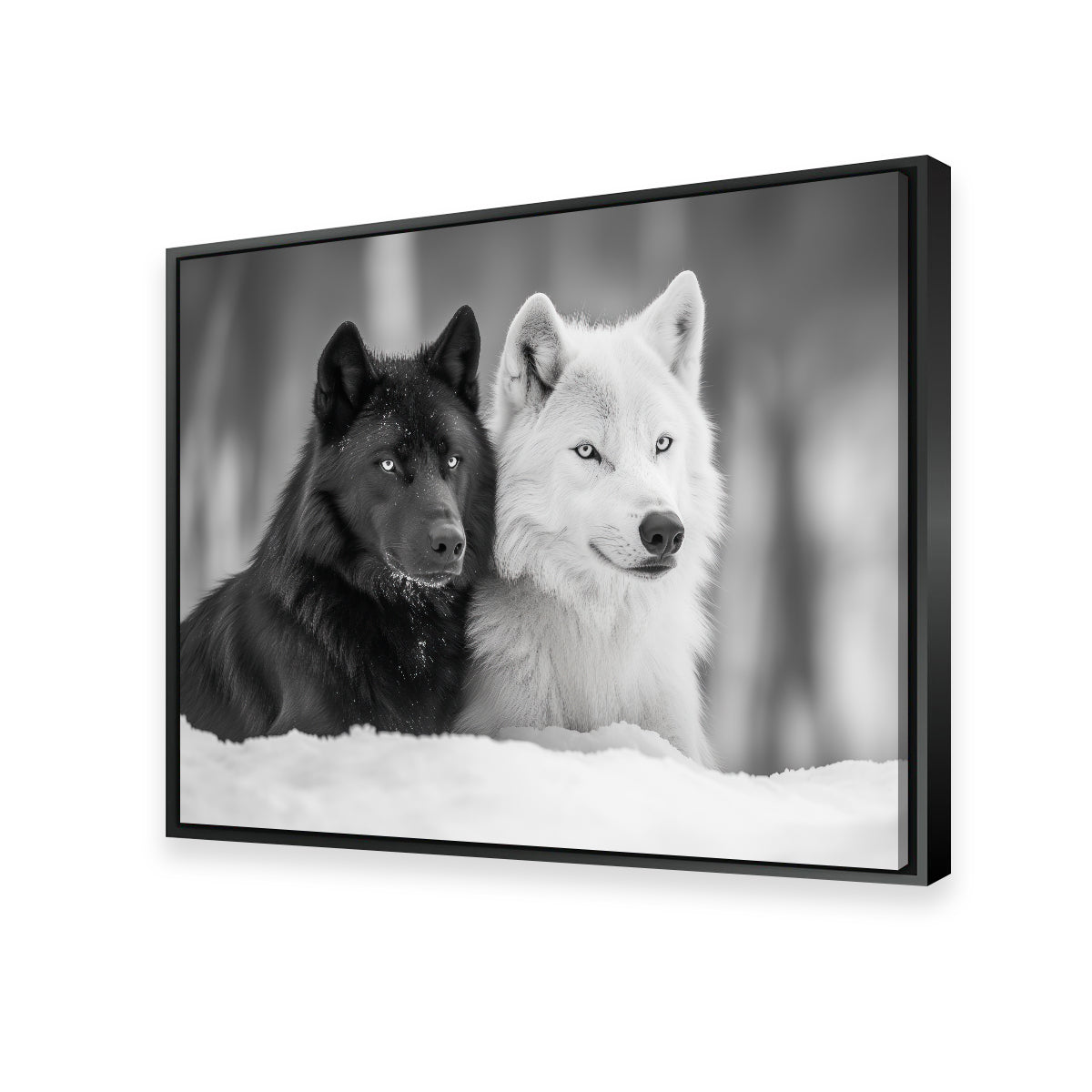 Black & White Wolves Wall Art