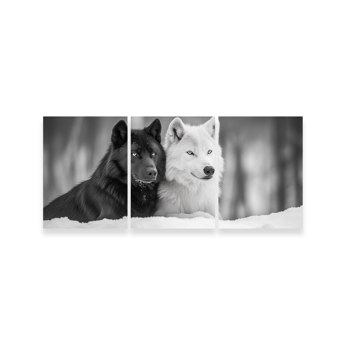 Black & White Wolves Wall Art