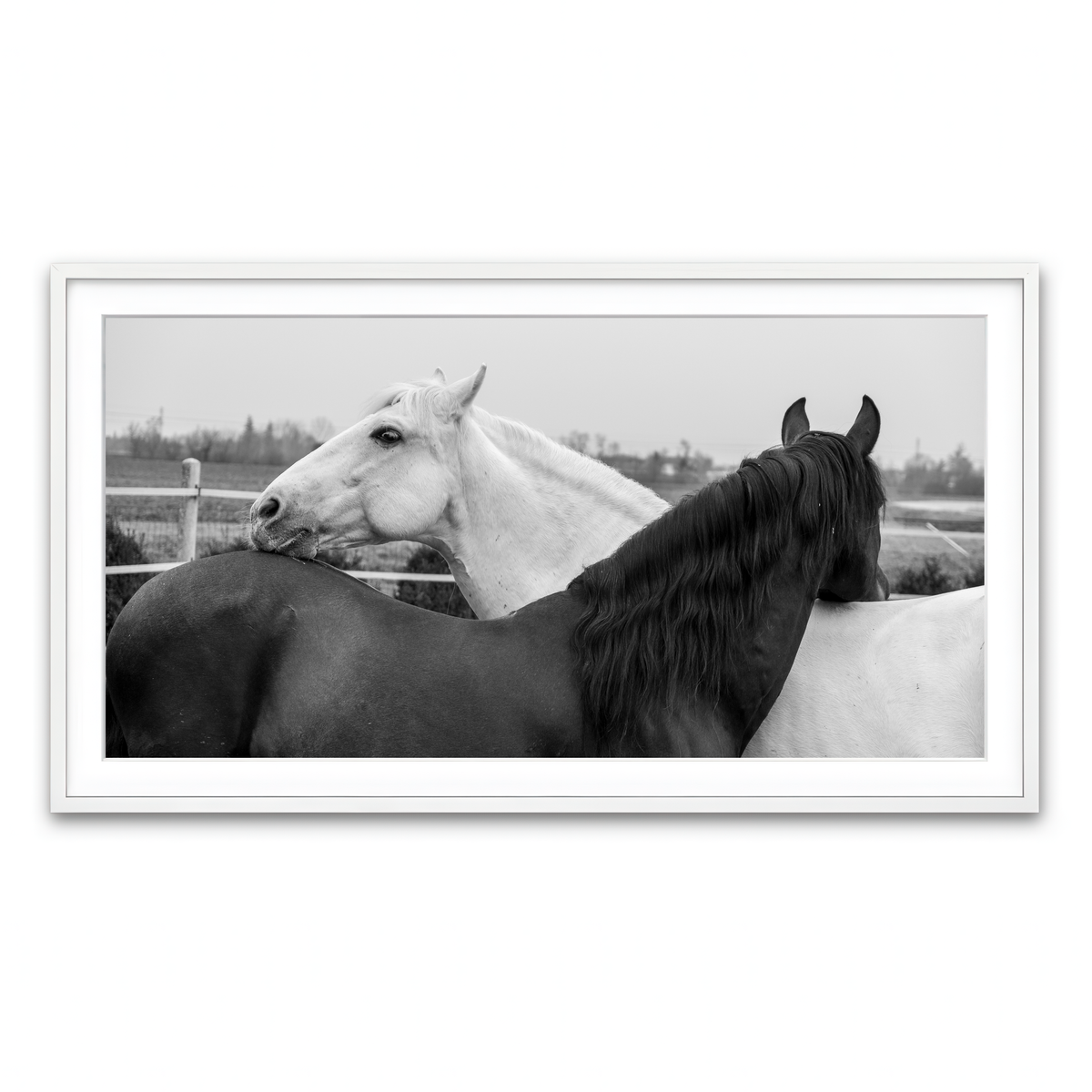 Framed Print 2x1 White