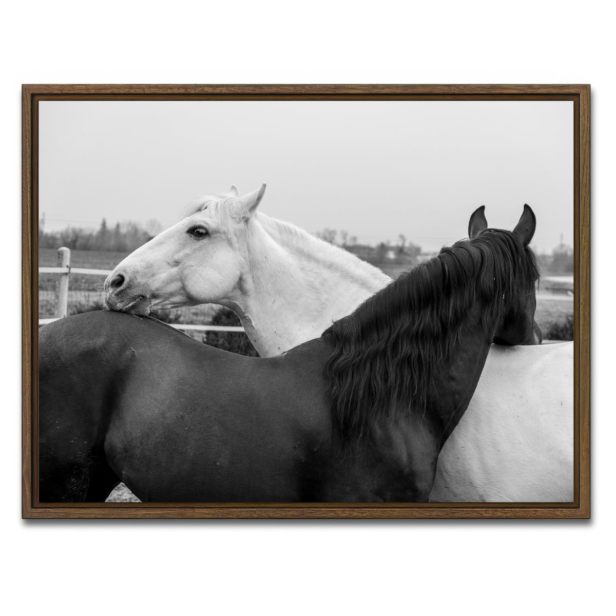 AUTO-MOCKUP WHITE | Black & White Horses | 1 Piece | Walnut Framed Canvas | group=4x3