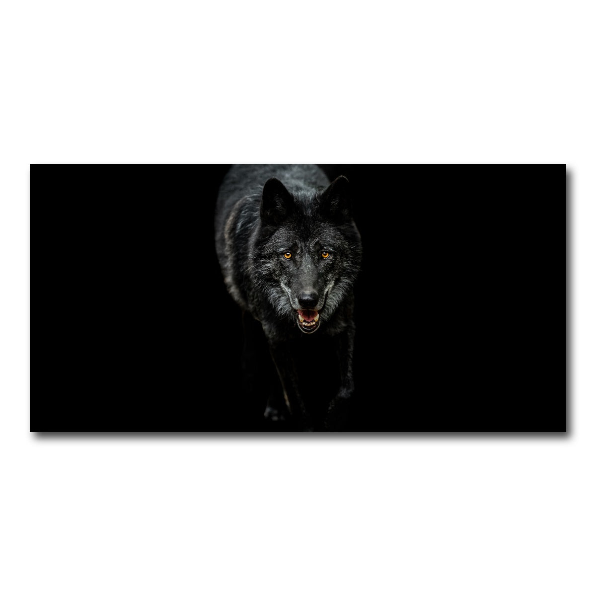 AUTO-MOCKUP WHITE | Black Wolf Black Background | 1 Piece | Gallery Wrap Canvas | group=2x1