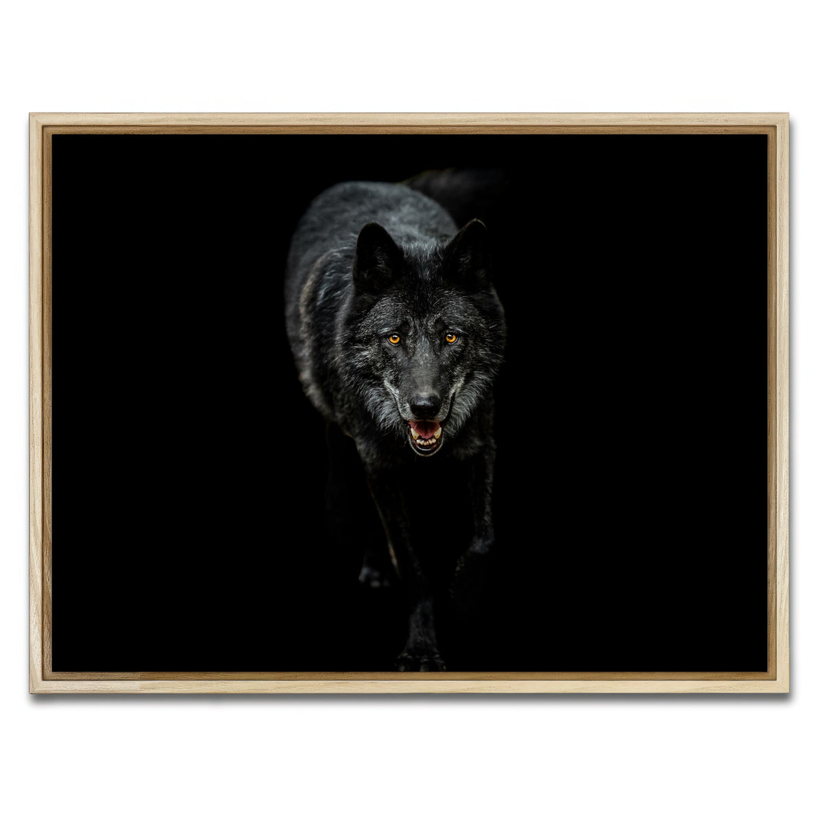 AUTO-MOCKUP WHITE | Black Wolf Black Background | 1 Piece | Natural Framed Canvas | group=4x3