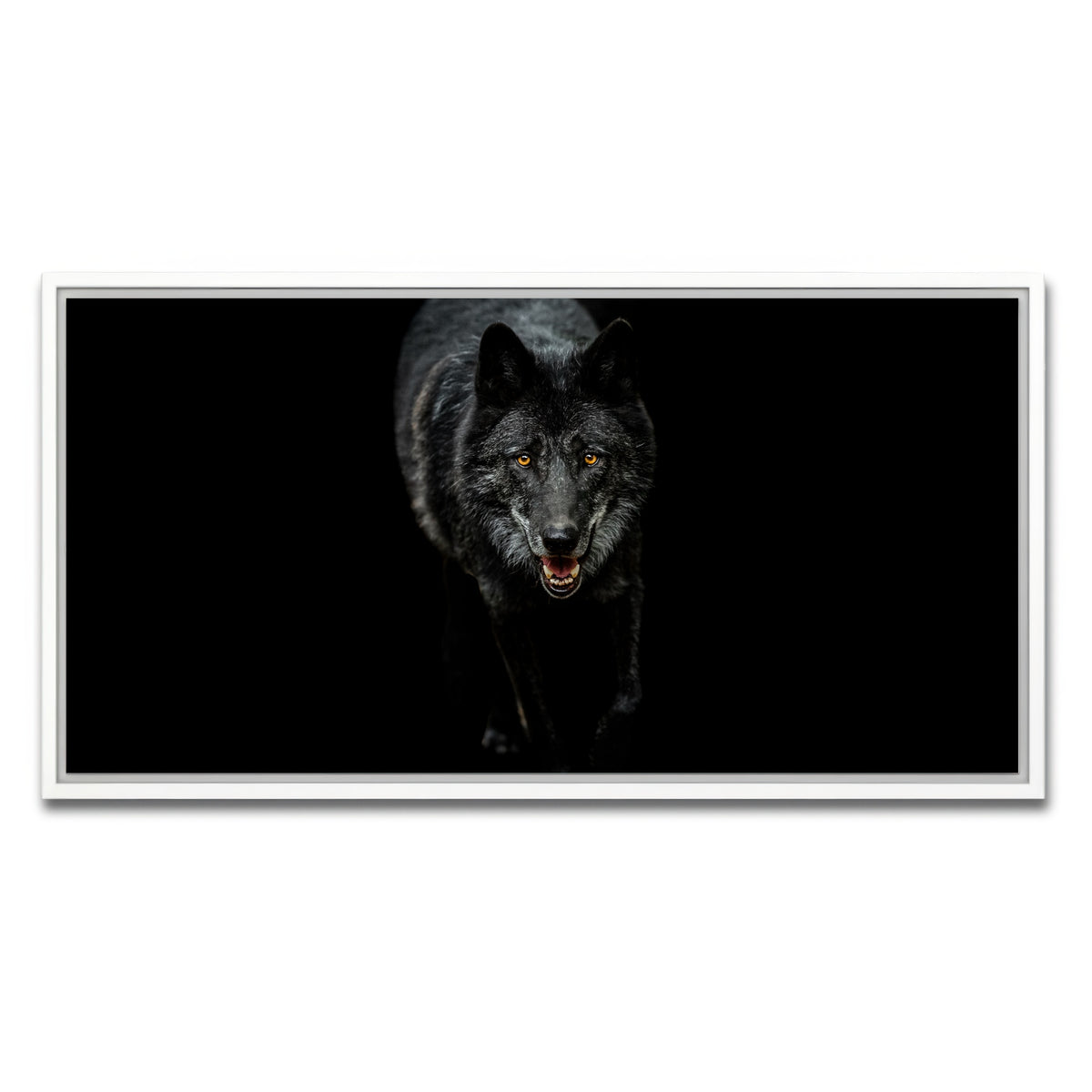 AUTO-MOCKUP WHITE | Black Wolf Black Background | 1 Piece | White Framed Canvas | group=2x1