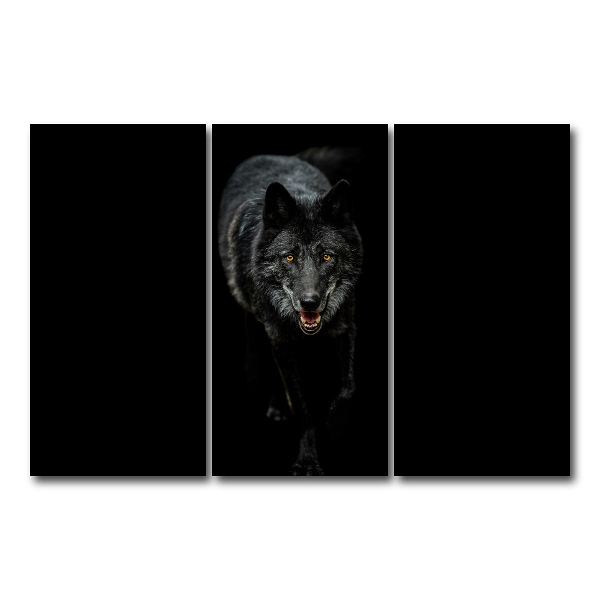 AUTO-MOCKUP WHITE | Black Wolf Black Background | 3 Piece | Gallery Wrap Canvas | group=12x24