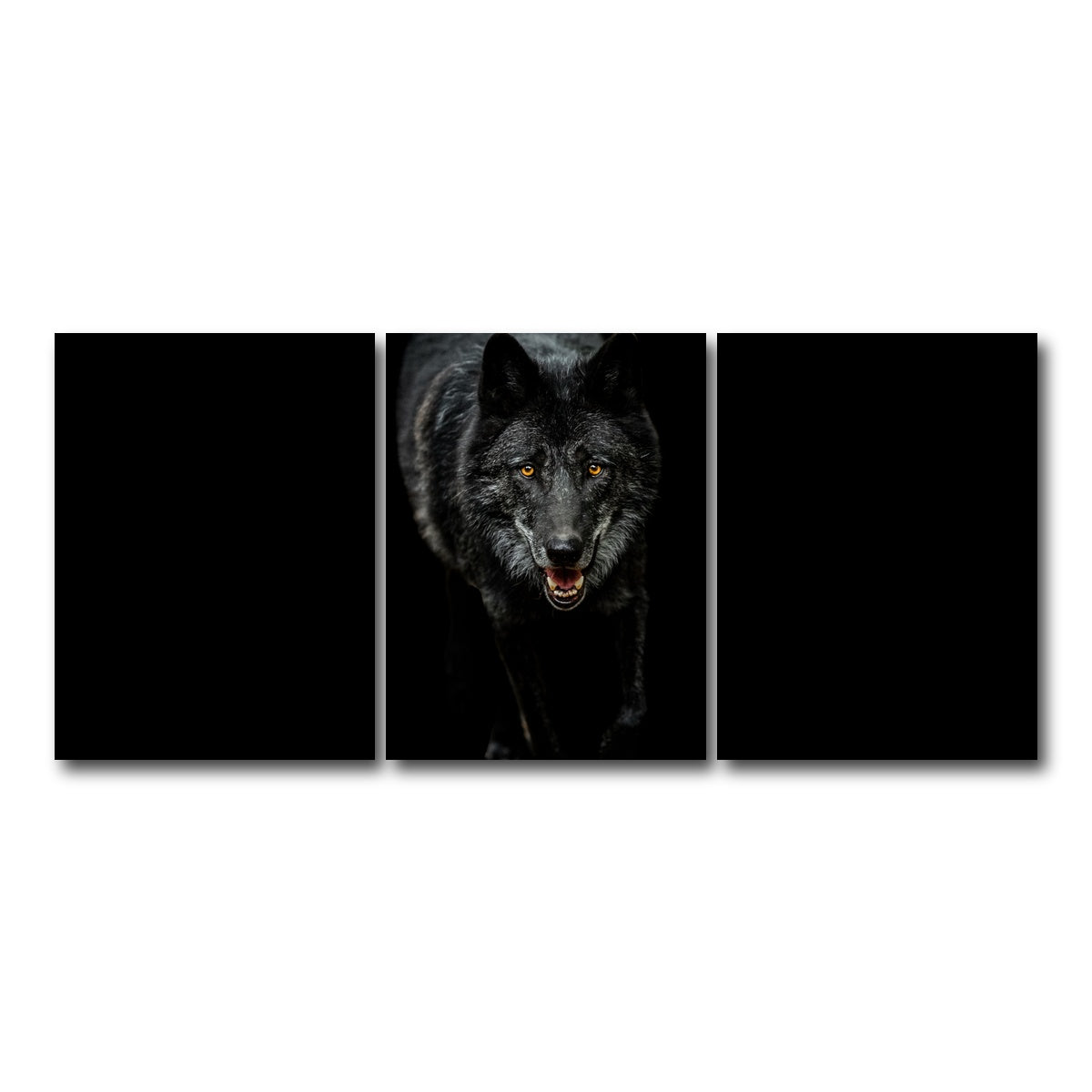 AUTO-MOCKUP WHITE | Black Wolf Black Background | 3 Piece | Gallery Wrap Canvas | group=18x24