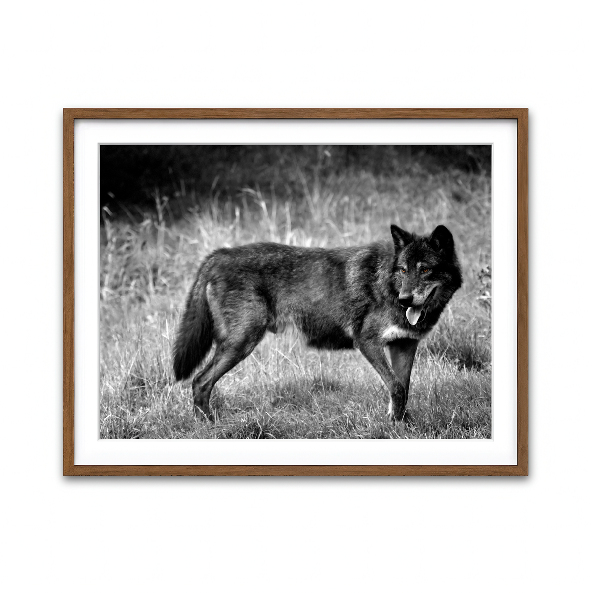 Framed Print 4x3 Walnut