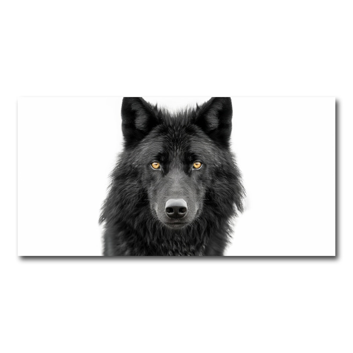AUTO-MOCKUP WHITE | Black Wolf Portrait | 1 Piece | Gallery Wrap Canvas | group=2x1