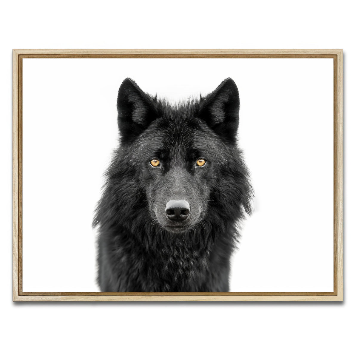 AUTO-MOCKUP WHITE | Black Wolf Portrait | 1 Piece | Natural Framed Canvas | group=4x3