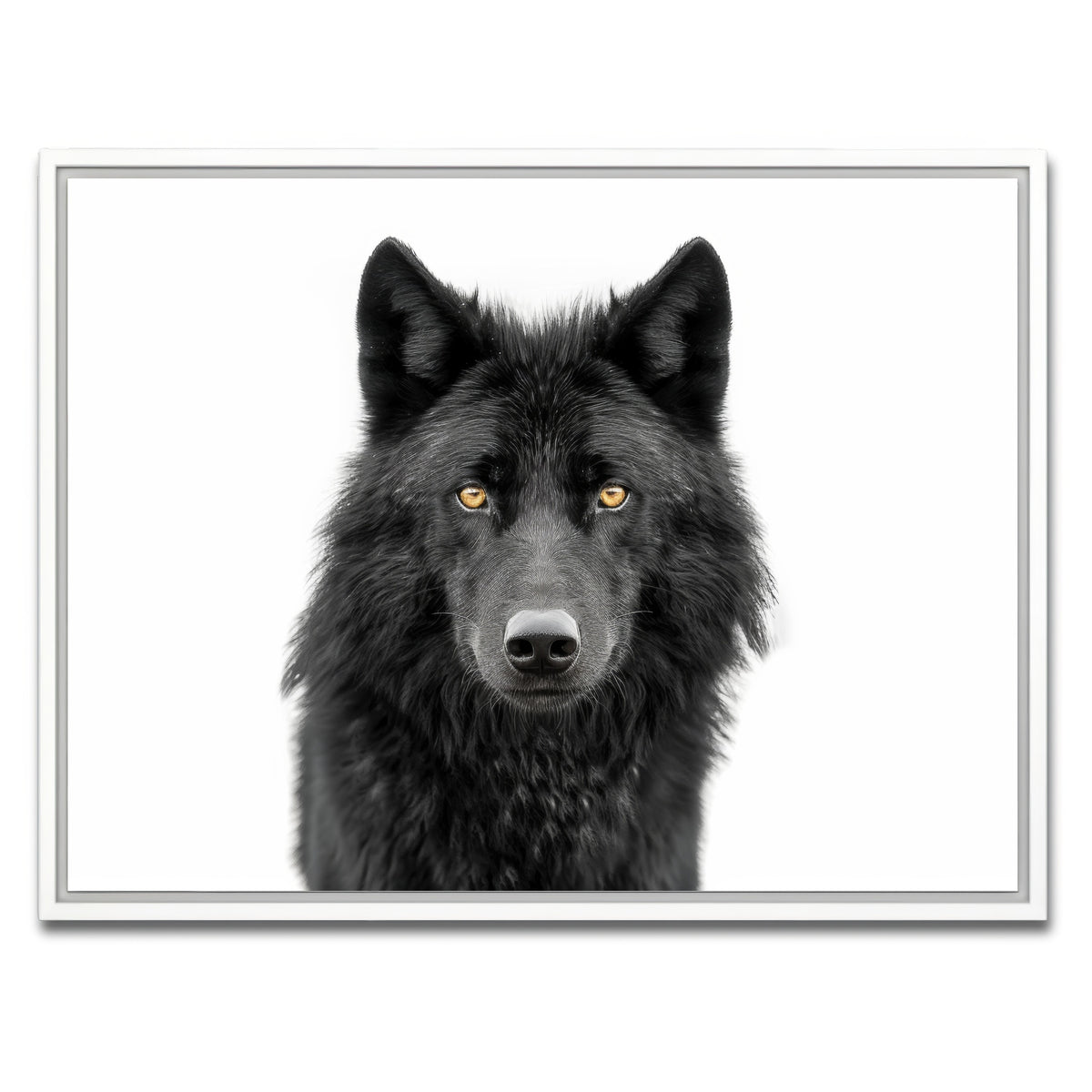 AUTO-MOCKUP WHITE | Black Wolf Portrait | 1 Piece | White Framed Canvas | group=4x3