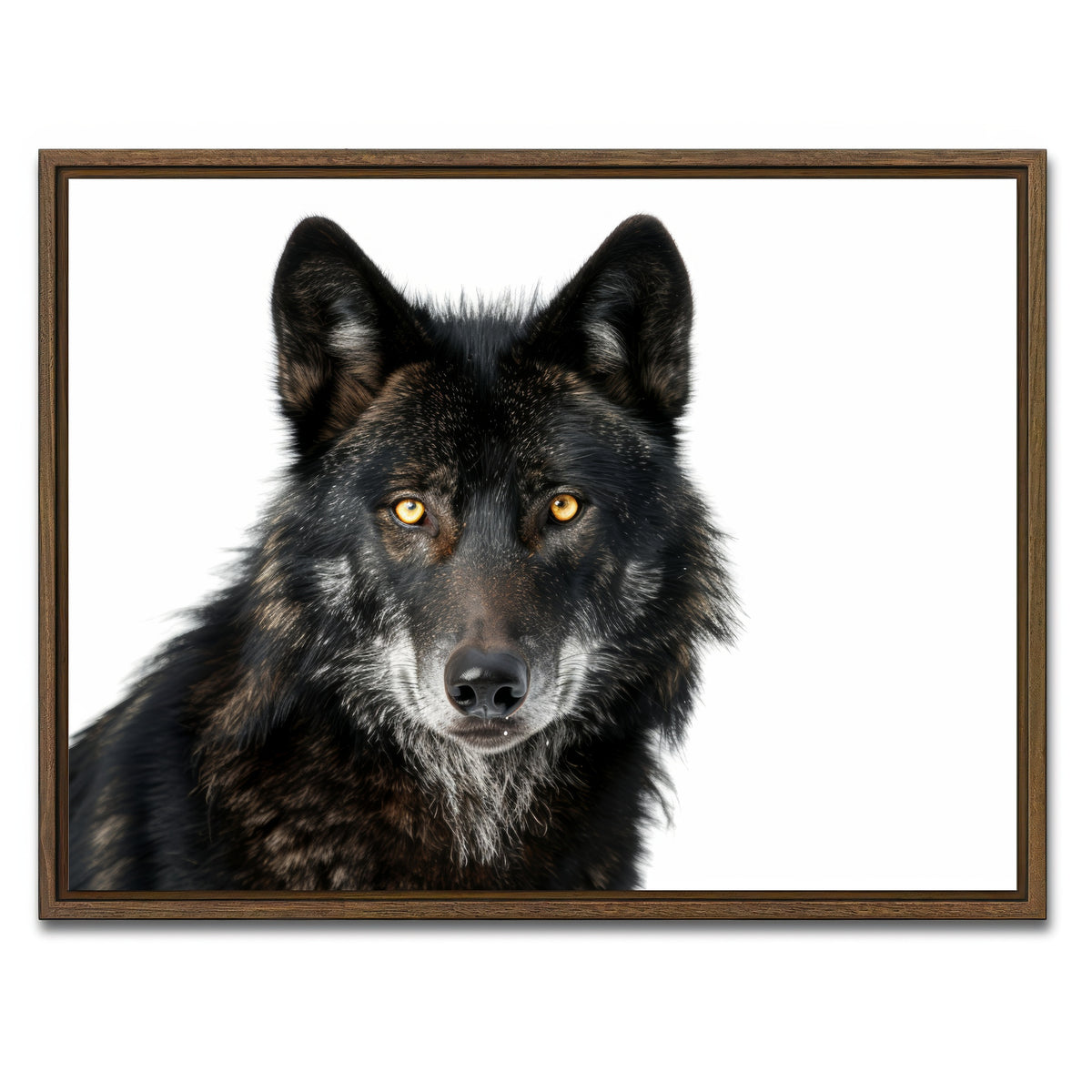 AUTO-MOCKUP WHITE | Black Wolf White Background | 1 Piece | Walnut Framed Canvas | group=4x3