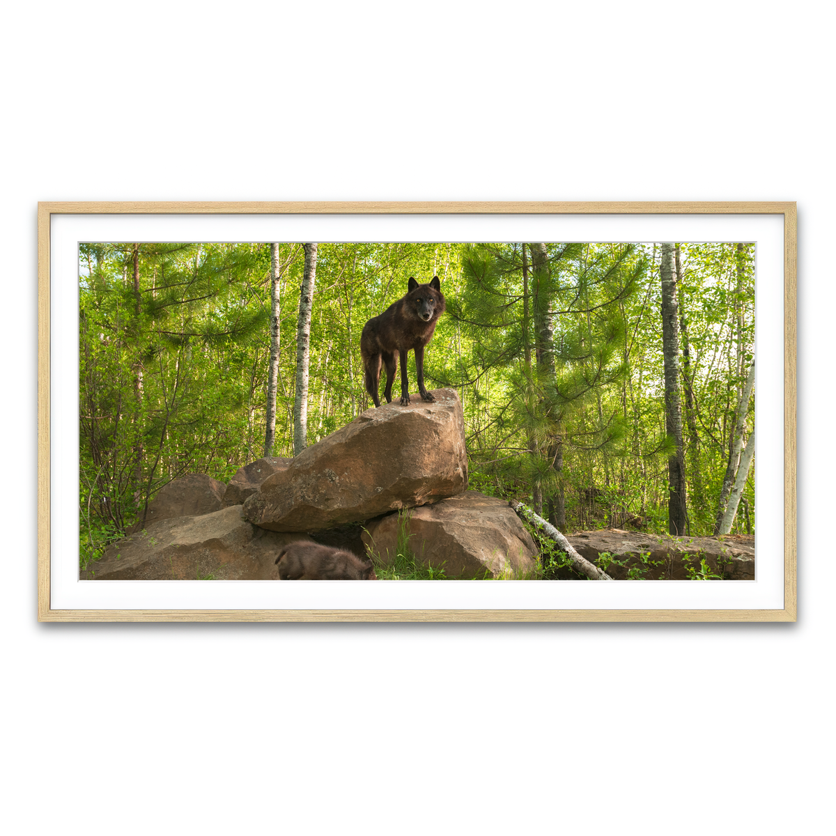 Framed Print 2x1 Natural