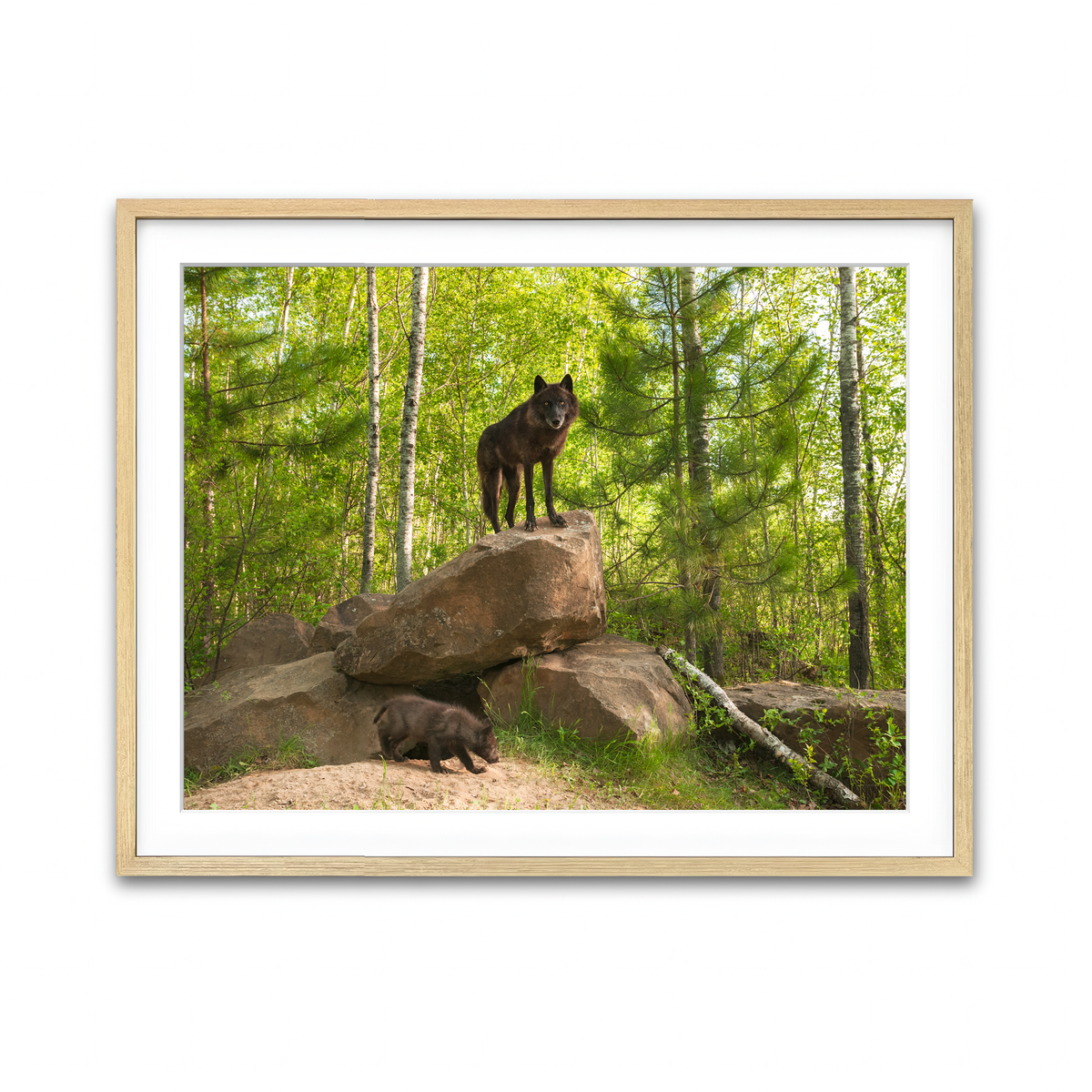 Framed Print 4x3 Natural