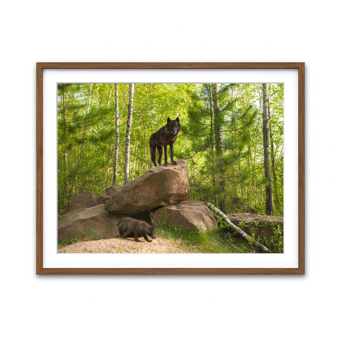 Framed Print 4x3 Walnut