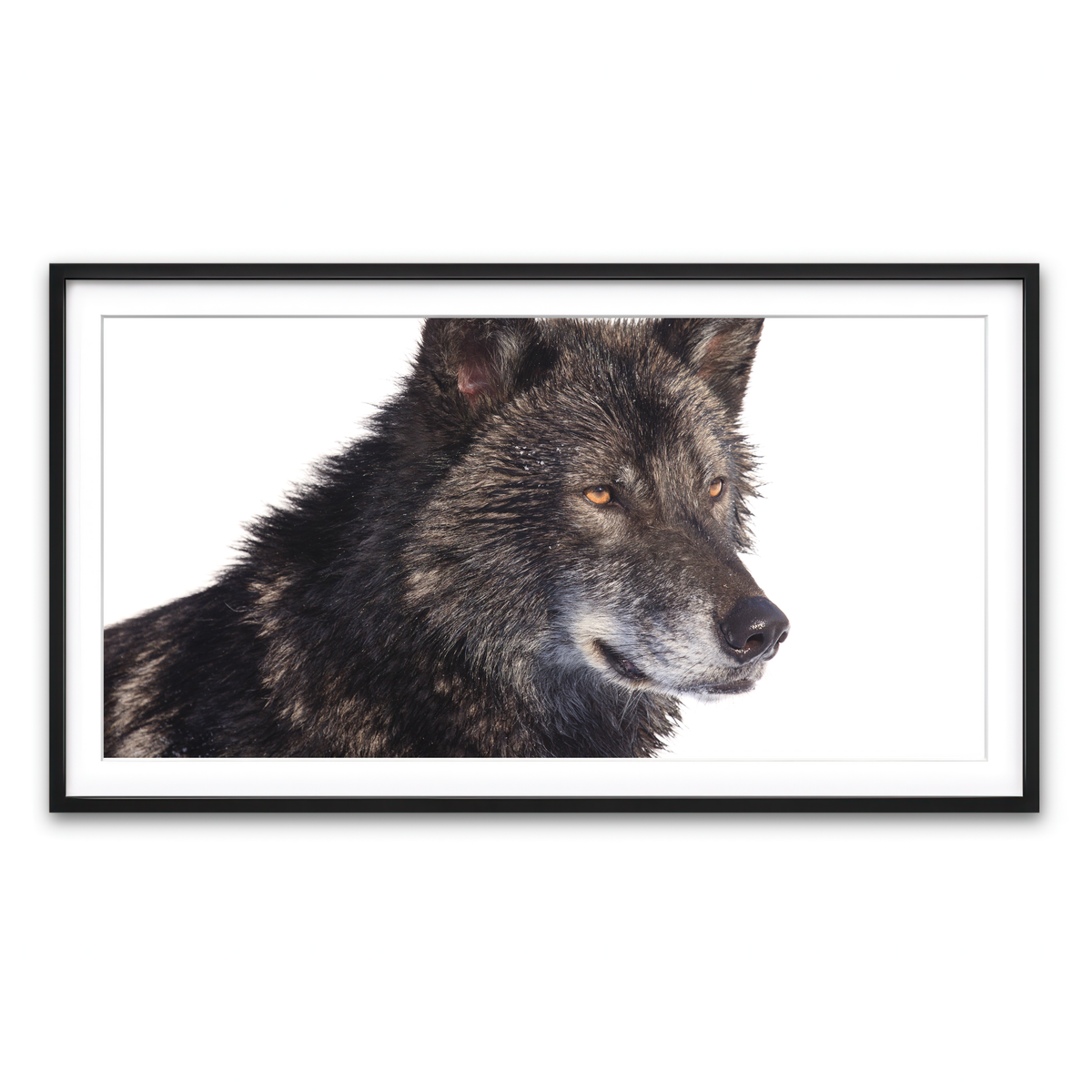 Framed Print 2x1 Black