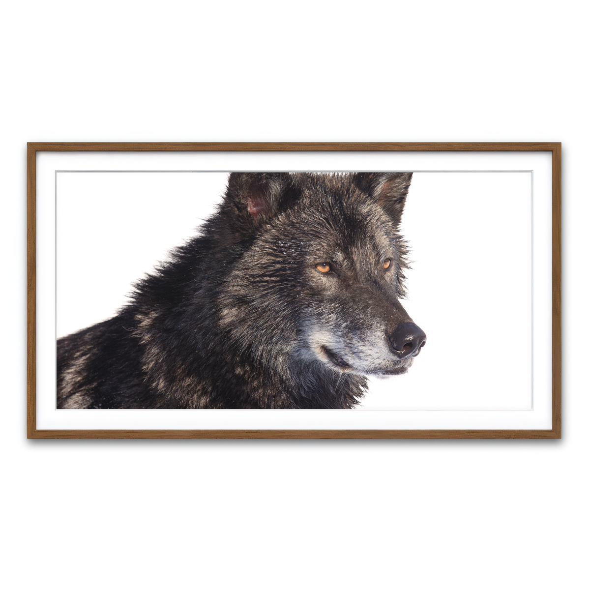 Framed Print 2x1 Walnut