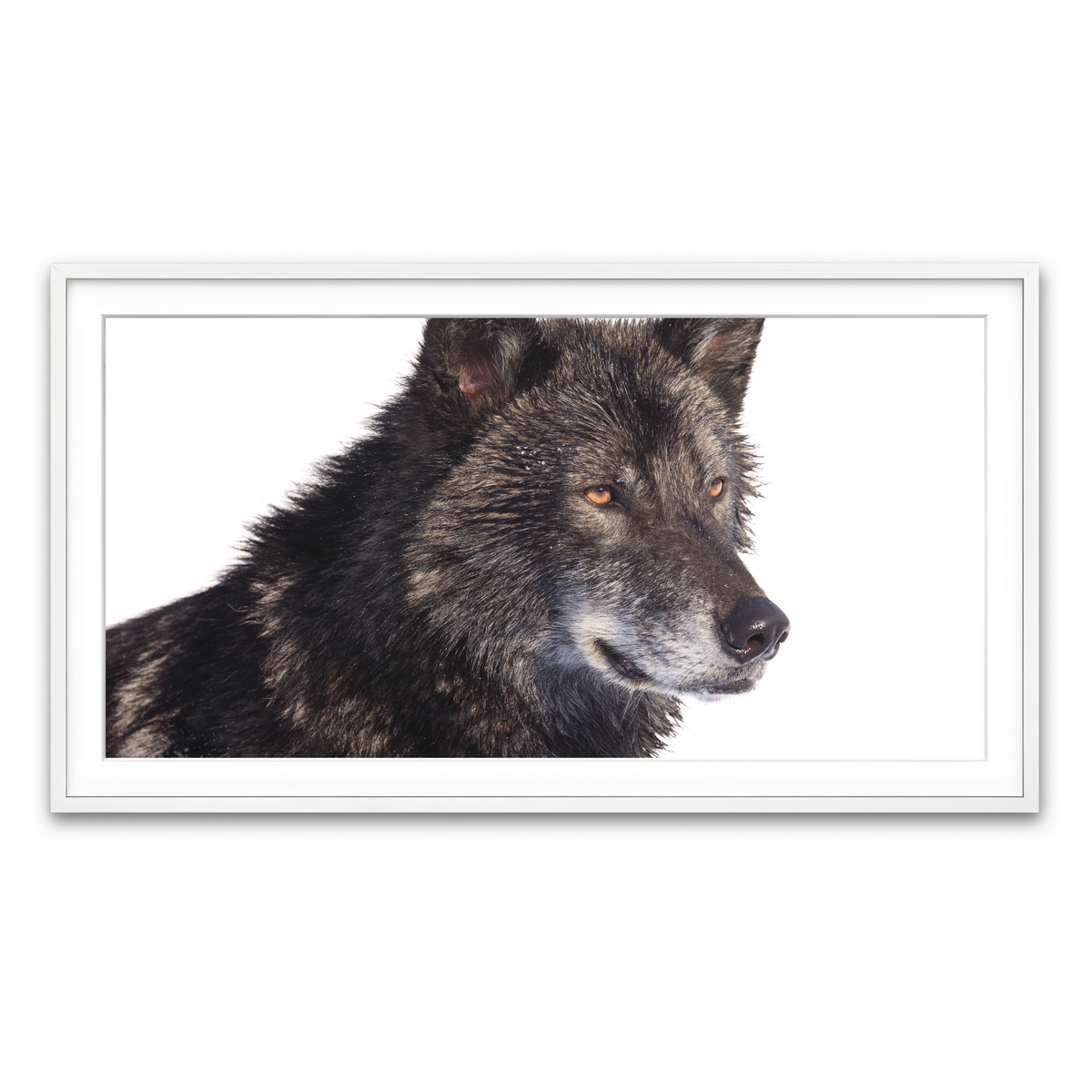 Framed Print 2x1 White