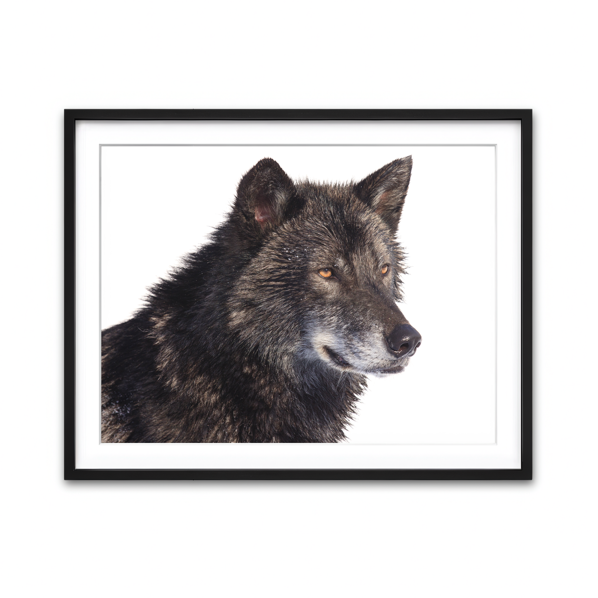 Framed Print 4x3 Black